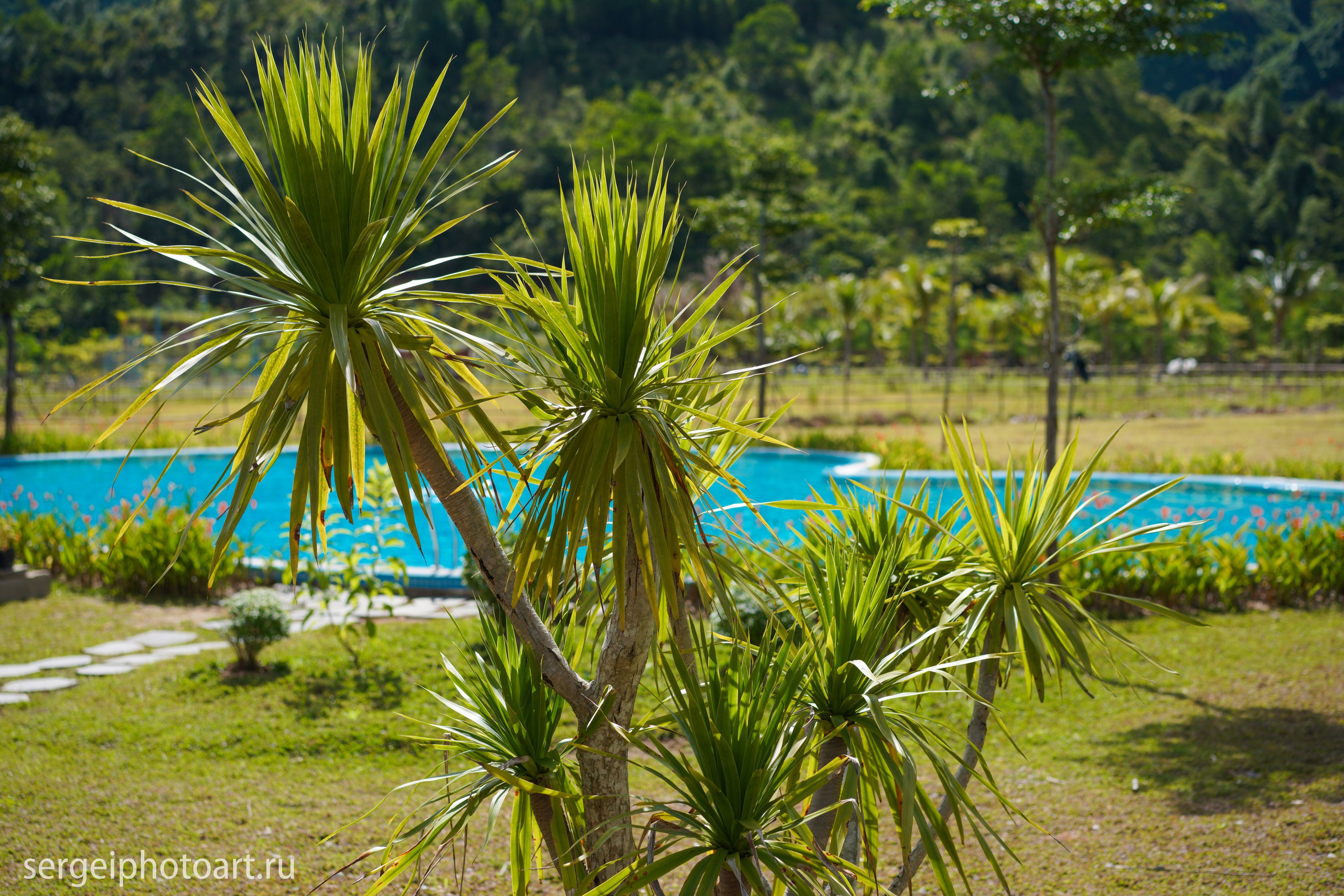 Небесные врата Донг Зянг Дананг. Фотограф Сергей Кишкель Дананг Нячанг Фукуок