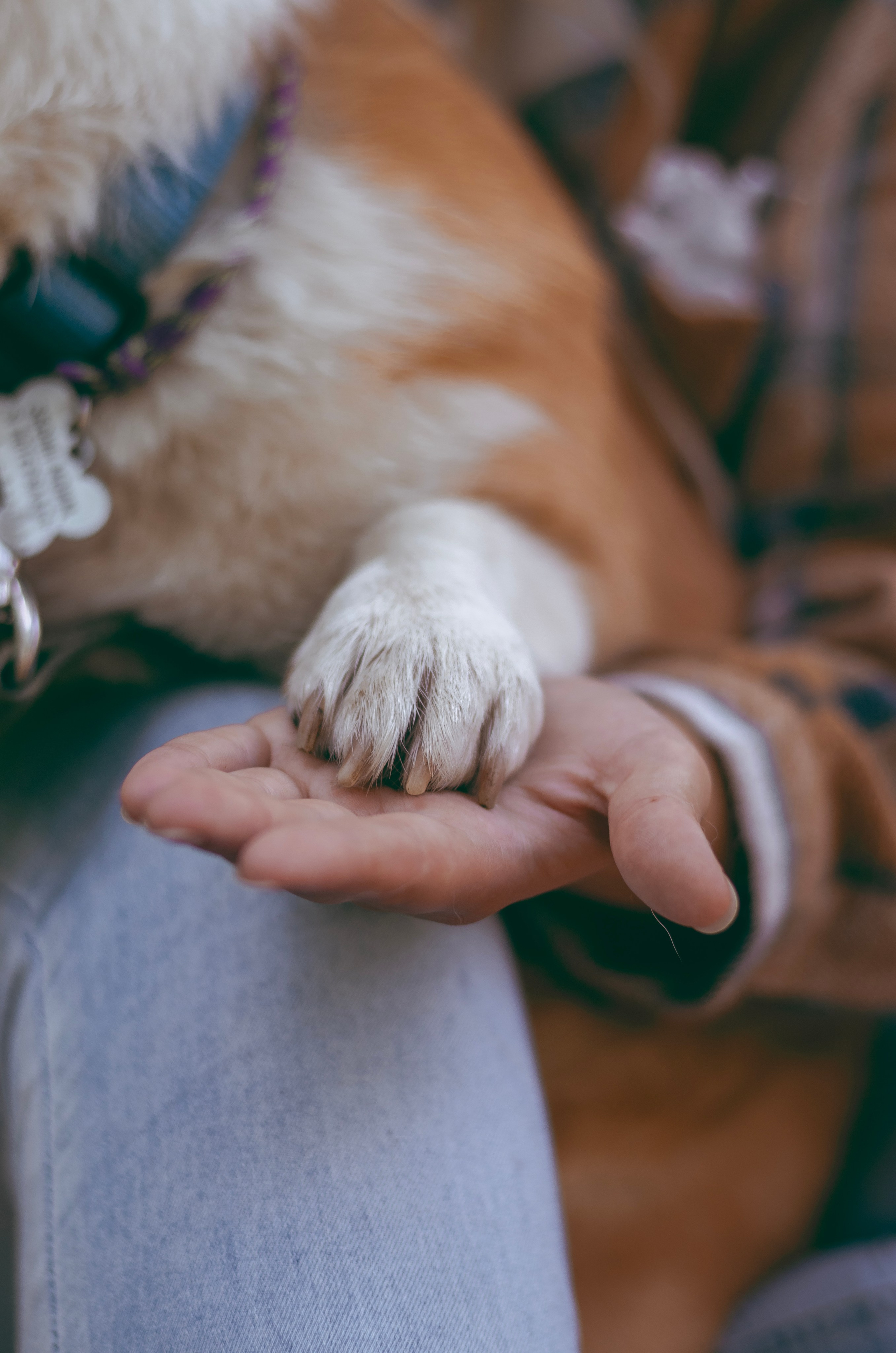 Portrait. Юлия Прокопичева — фотограф Новосибирск, Москва