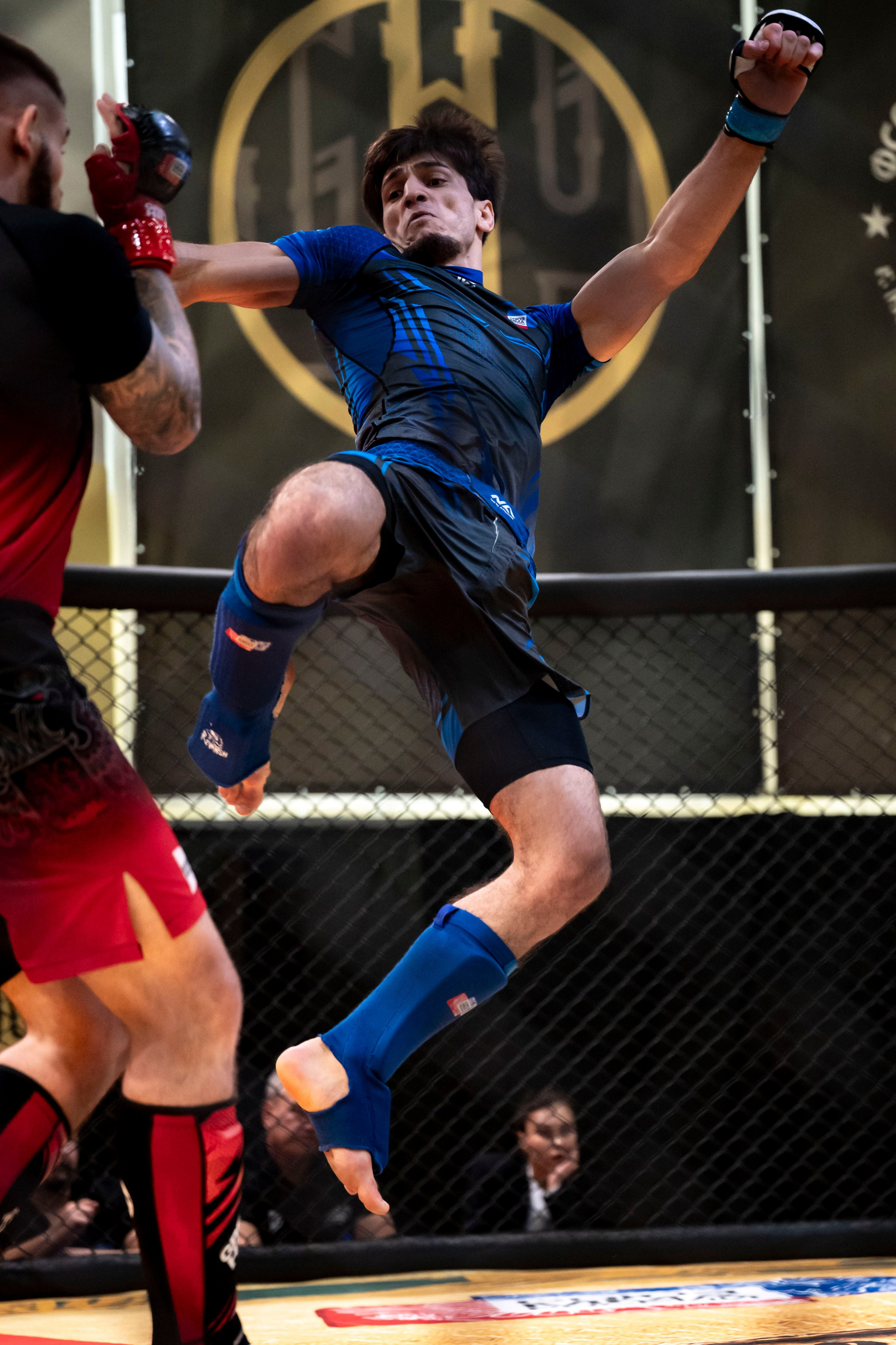 Всероссийский турнир ММА. Новомосковск, ноябрь 2025. Спортивный фотограф в Туле и Тульской области. Файсханова Фото Спорт