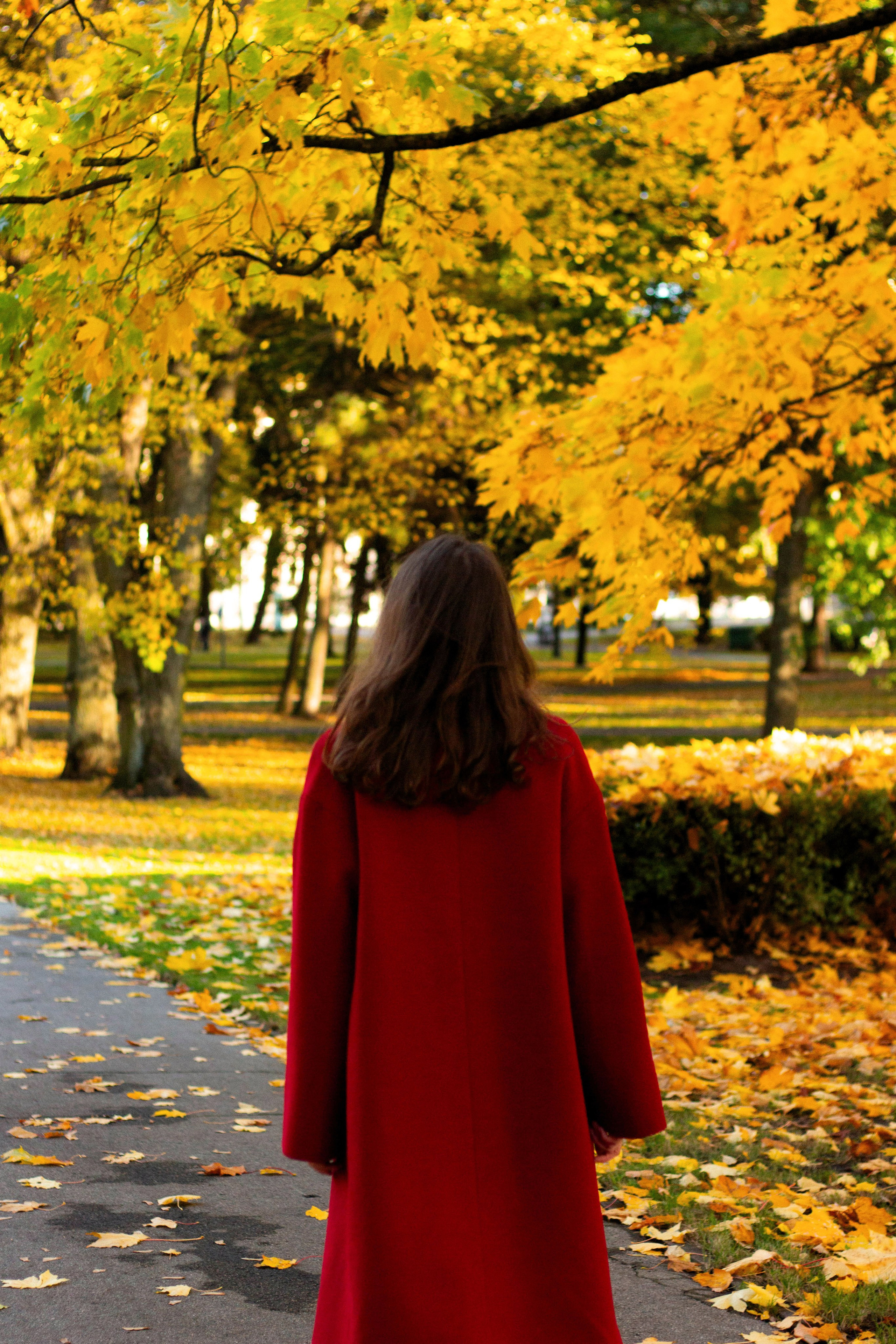 Мария. Осень в Риге. Бережно сохраняю ваши чувства и истории на своих фотографиях