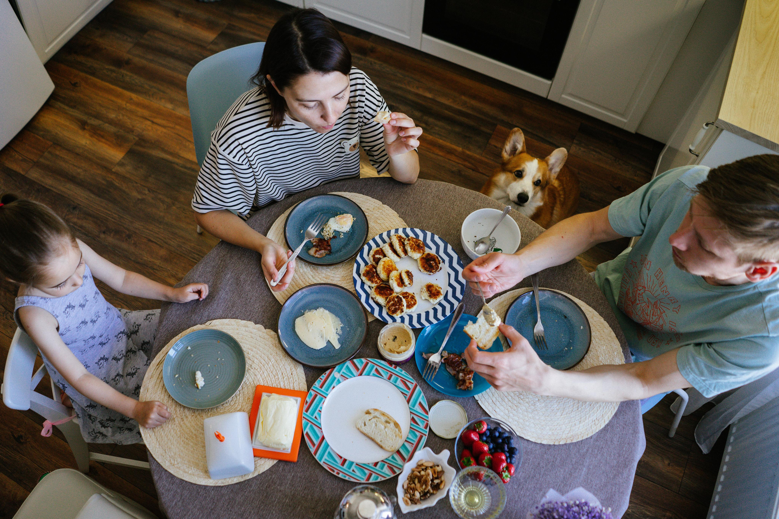 Алена, Антон, Софа и Перси. Семейный и детский фотограф в Новосибирске Эвелина Лангеман