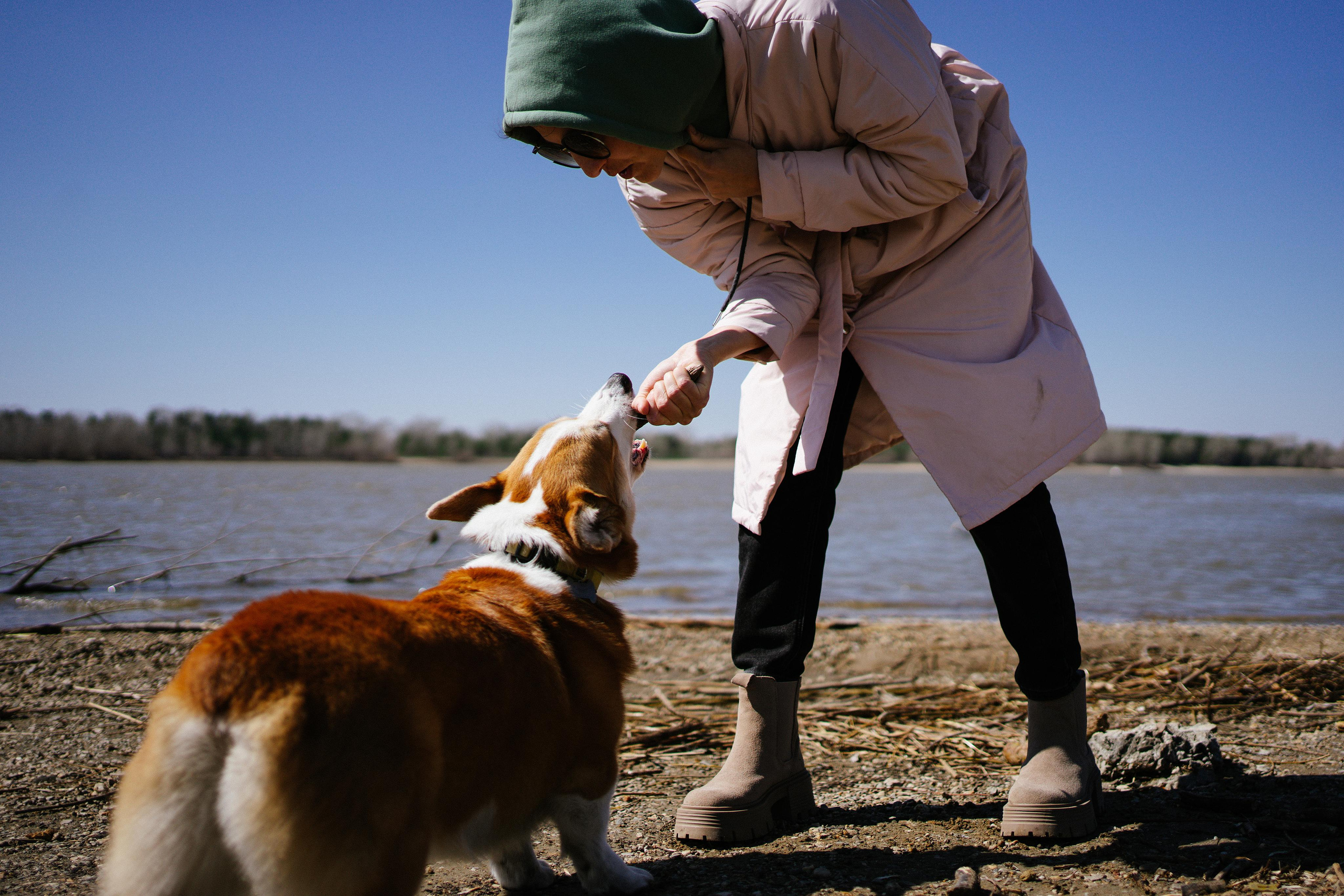 Алена, Антон, Софа и Перси. Семейный и детский фотограф в Новосибирске Эвелина Лангеман