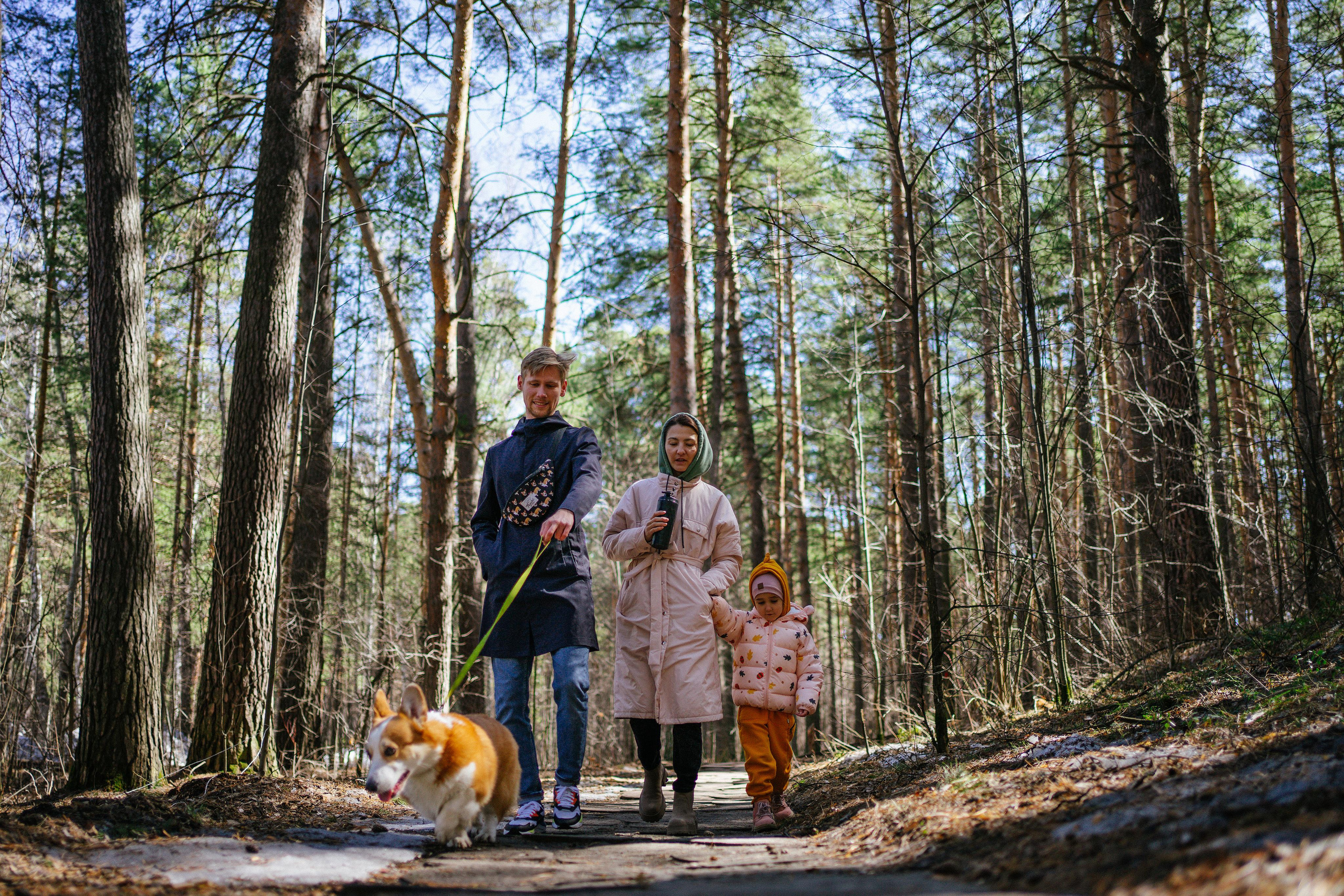 Алена, Антон, Софа и Перси. Семейный и детский фотограф в Новосибирске Эвелина Лангеман