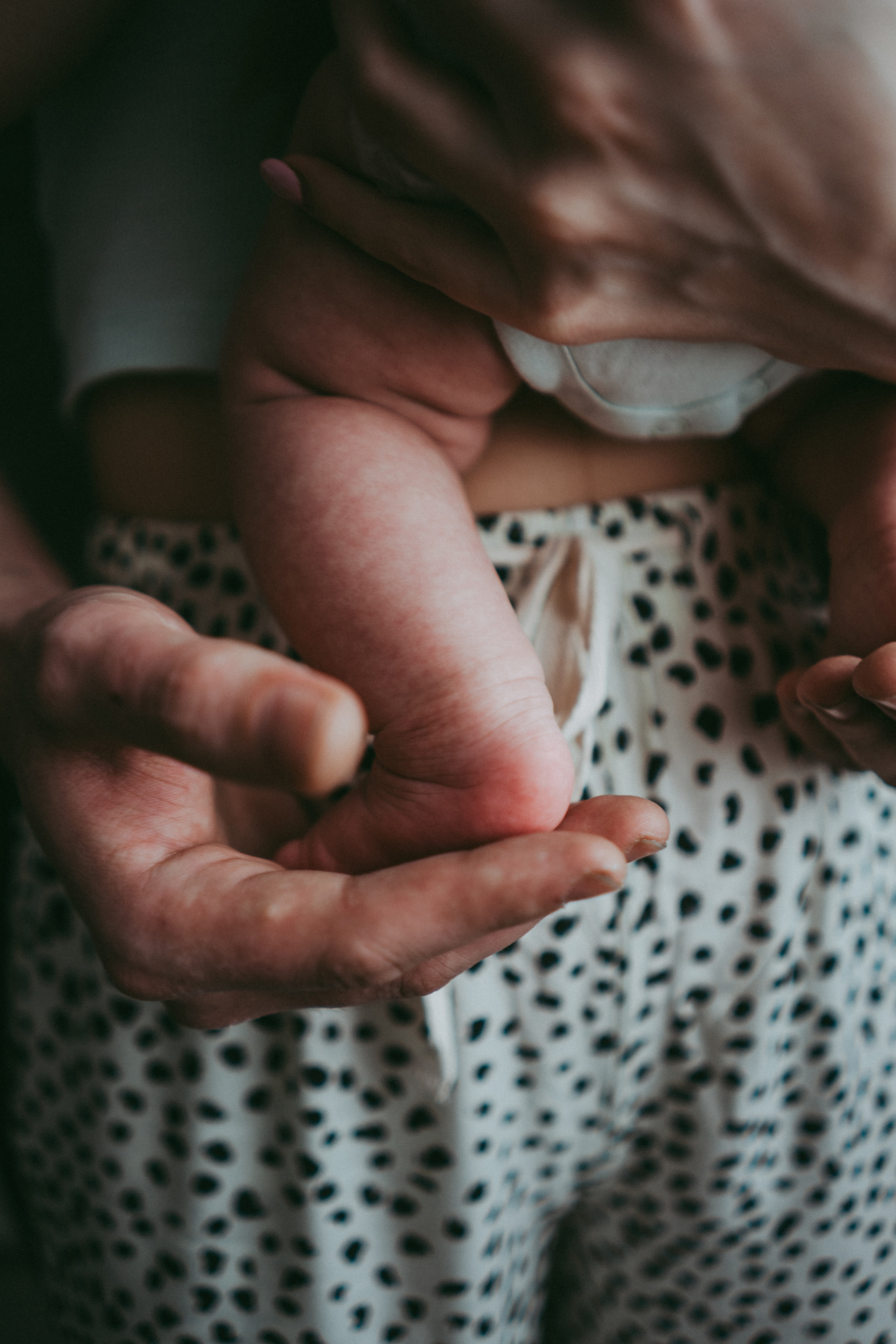 Костя и его семья. Семейный и детский фотограф в Новосибирске Эвелина Лангеман