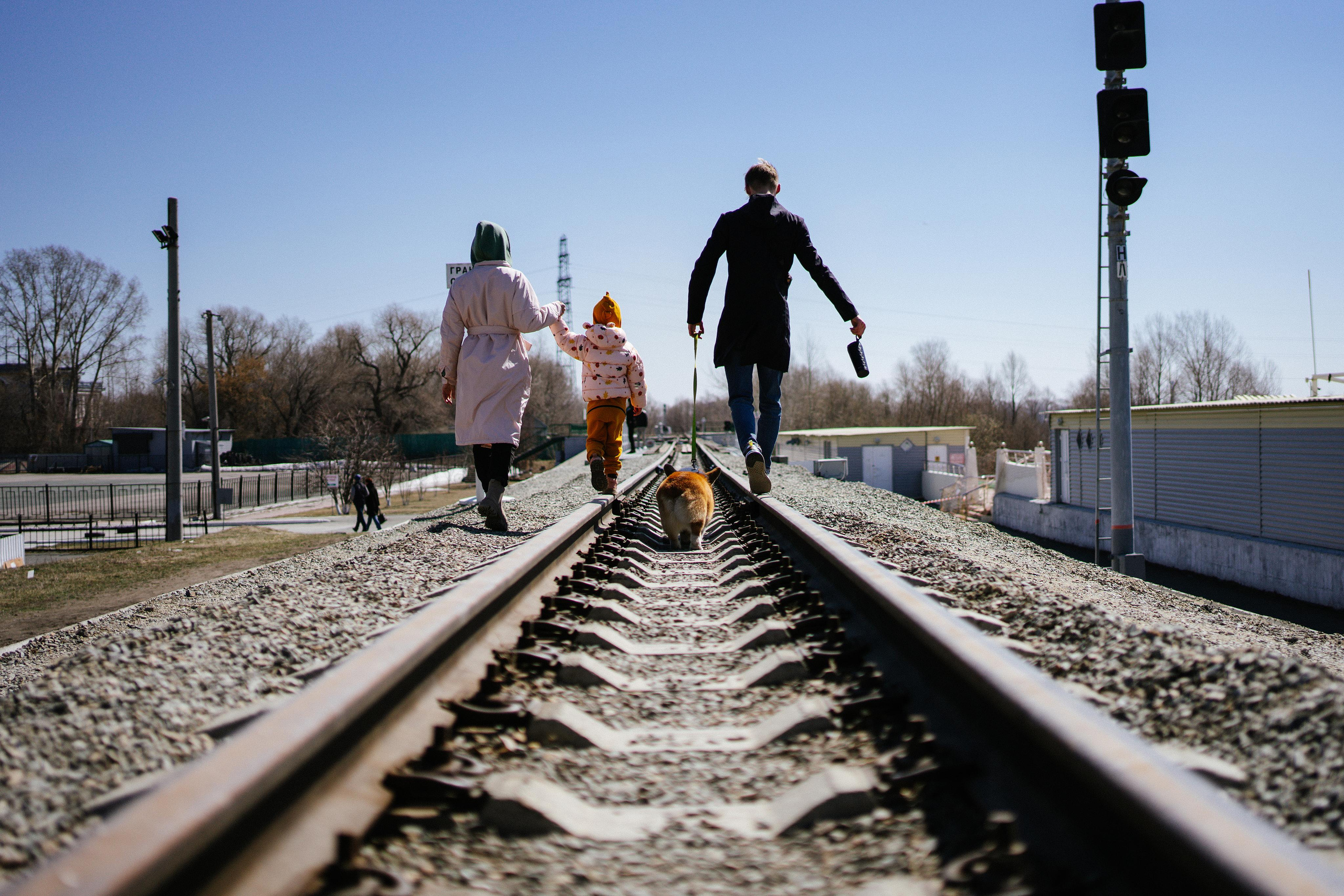 Алена, Антон, Софа и Перси. Семейный и детский фотограф в Новосибирске Эвелина Лангеман