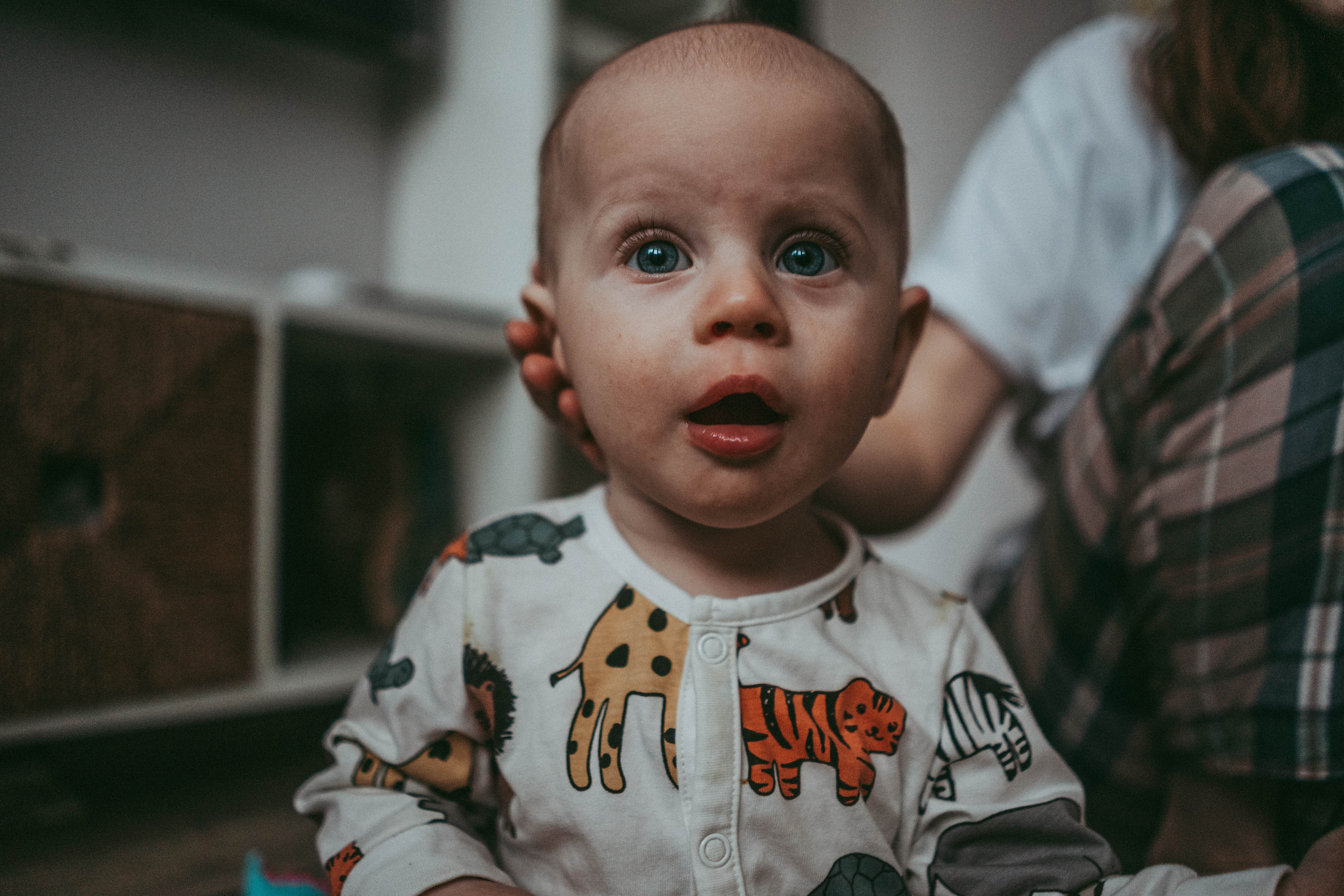 Настя, Женя и Слава. Семейный и детский фотограф в Новосибирске Эвелина Лангеман