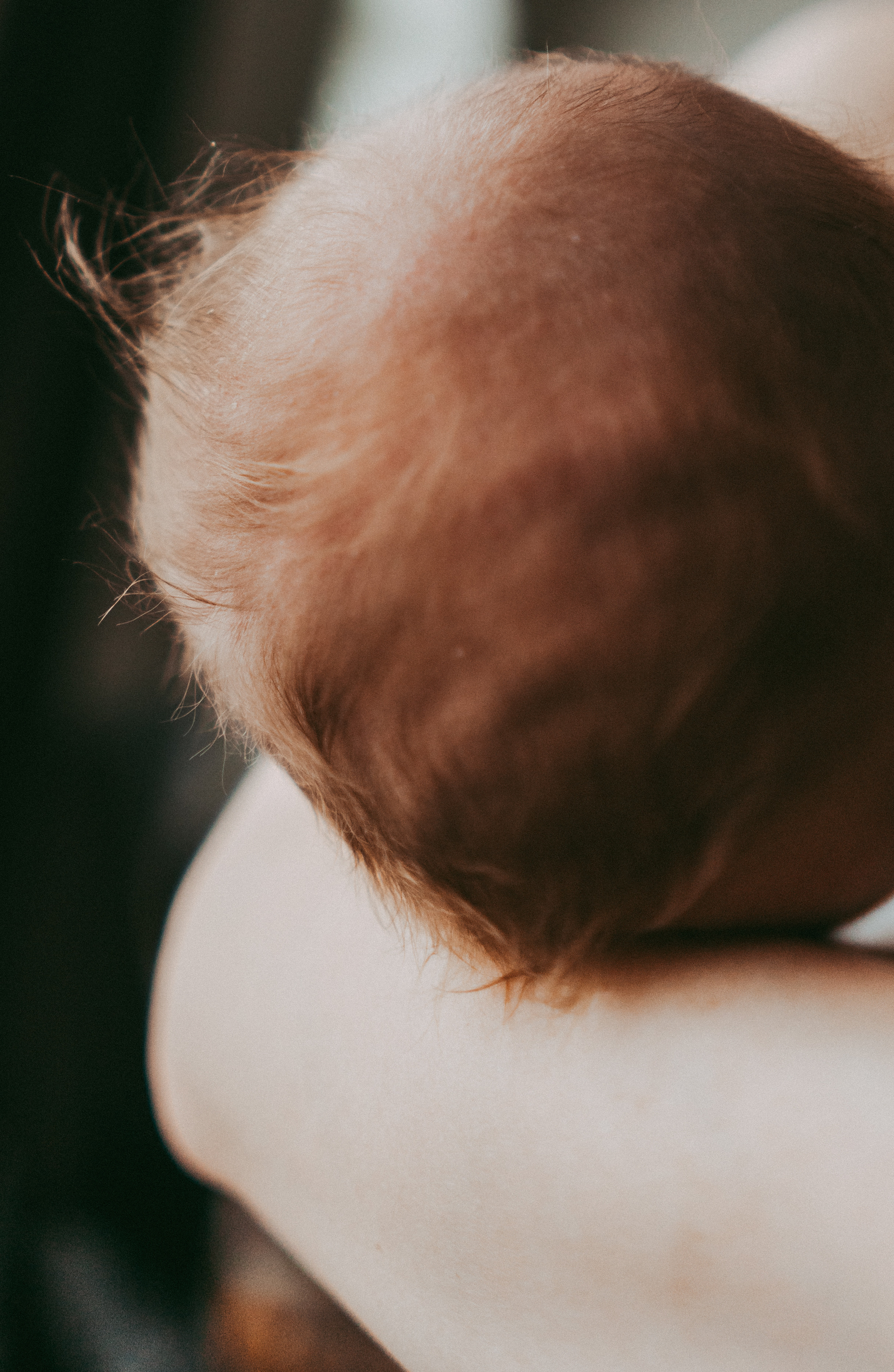 Костя и его семья. Семейный и детский фотограф в Новосибирске Эвелина Лангеман