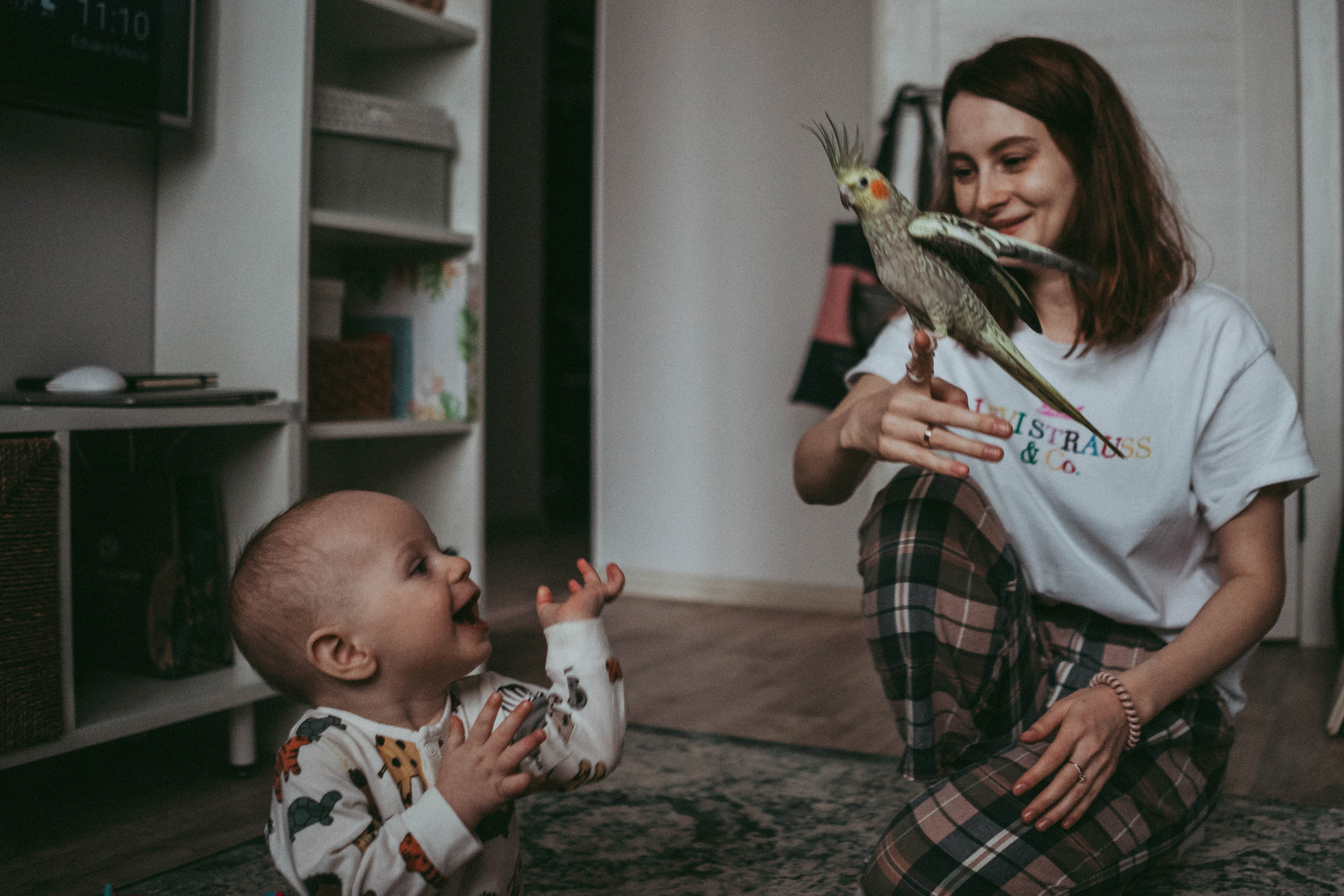 Настя, Женя и Слава. Семейный и детский фотограф в Новосибирске Эвелина Лангеман