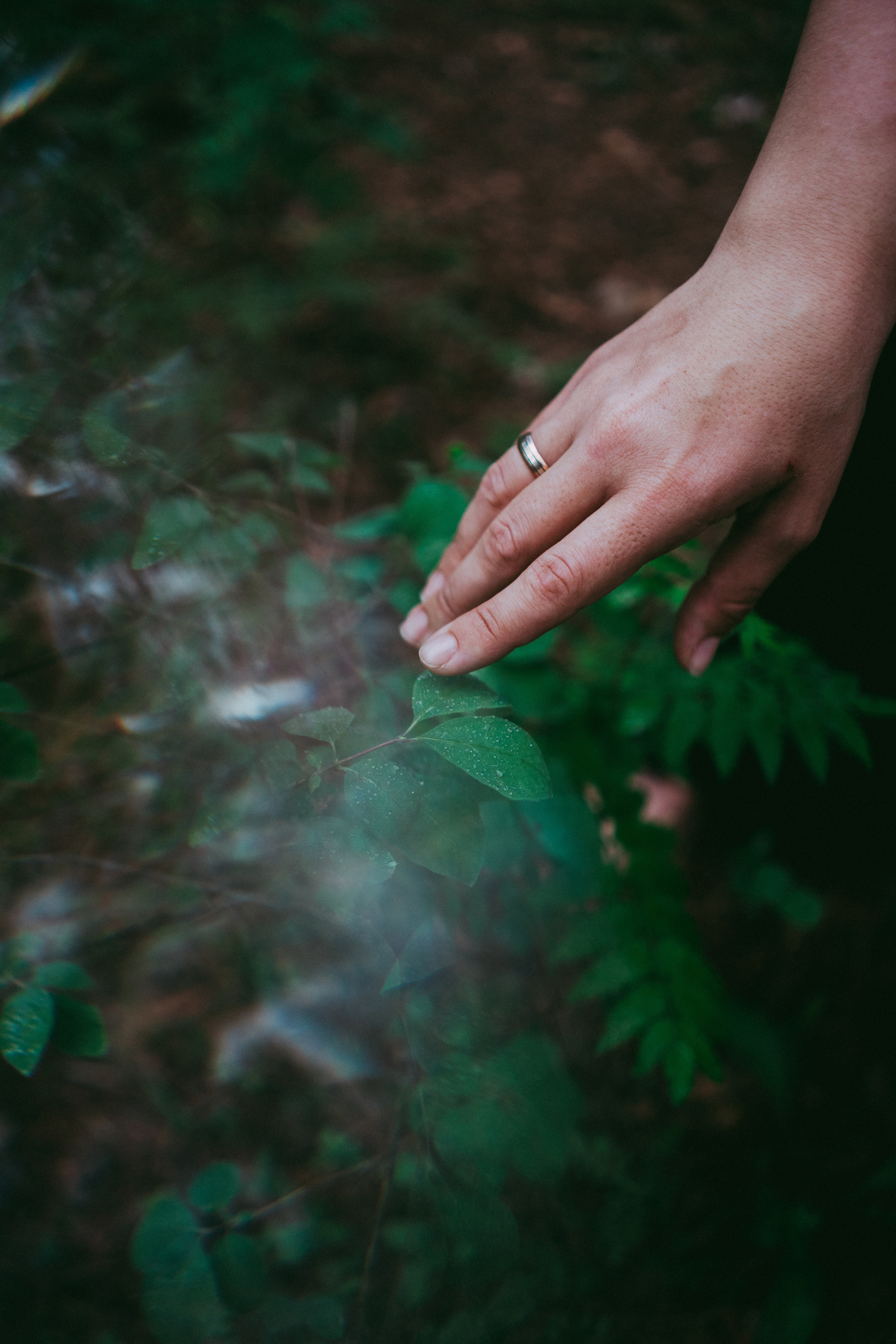 Алина. Семейный и детский фотограф в Новосибирске Эвелина Лангеман