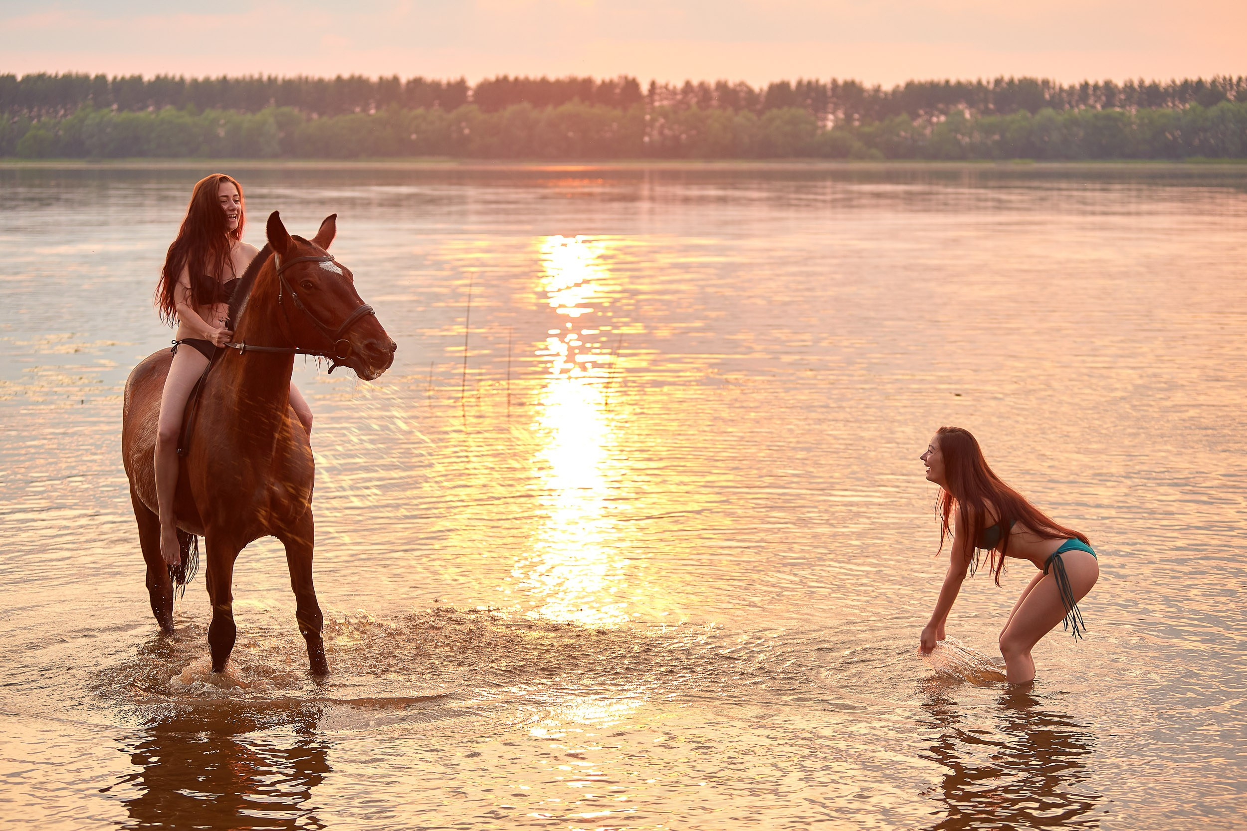 Фотосессия с лошадьми, Фотограф Михаил Семенов г. Ярославль