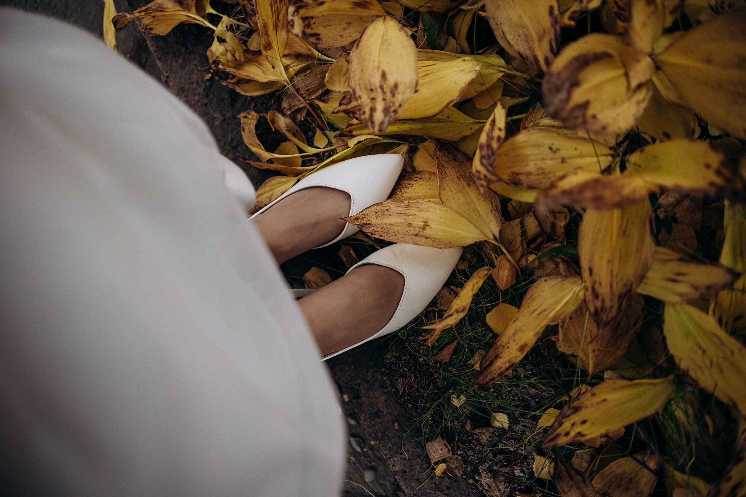 Максим и Надежда. Свадебный и семейный фотограф в Красноярске Анастасия Турчанова