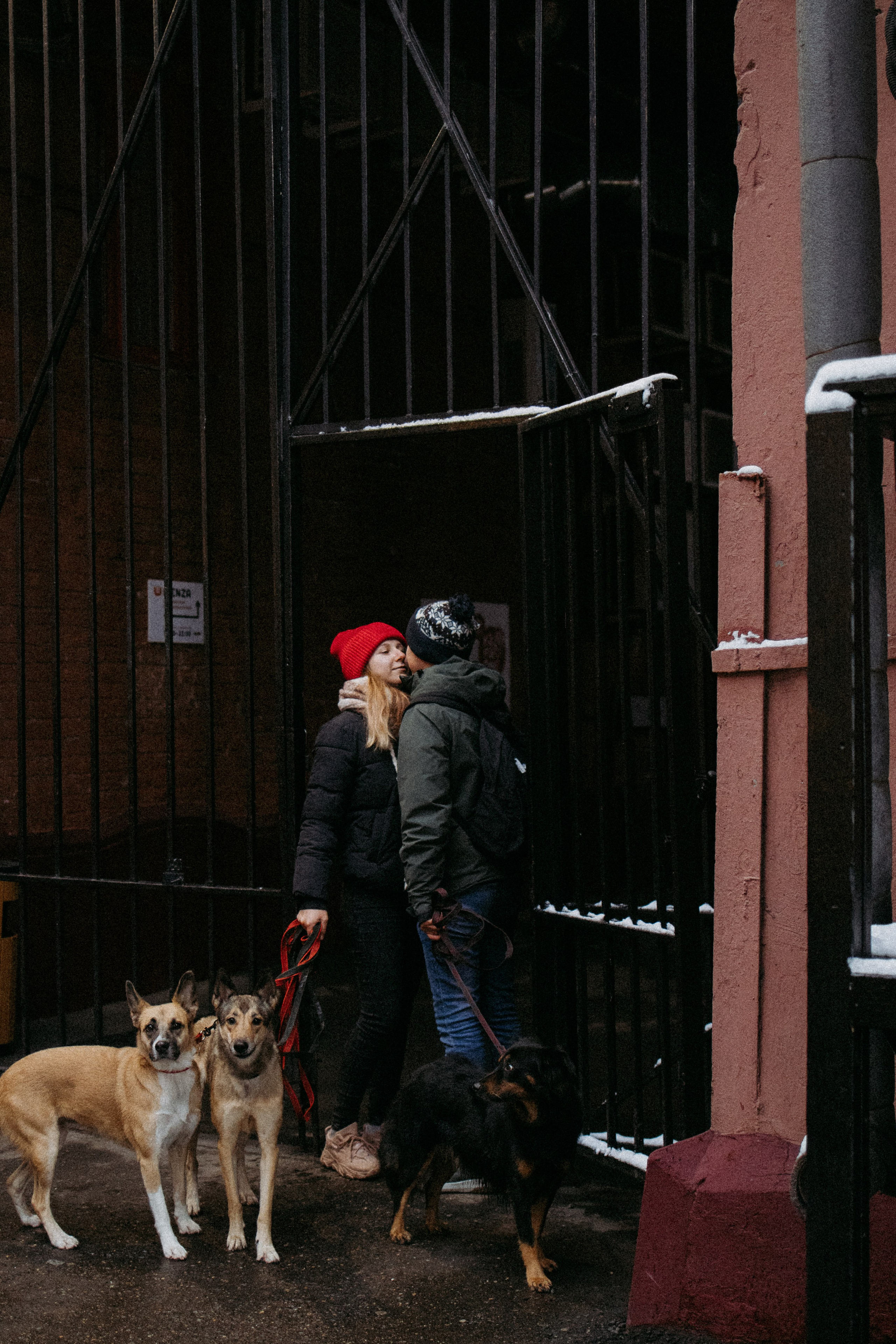 Саша, Ксюша и их банда. Фотораф — анималист Мария Шистка