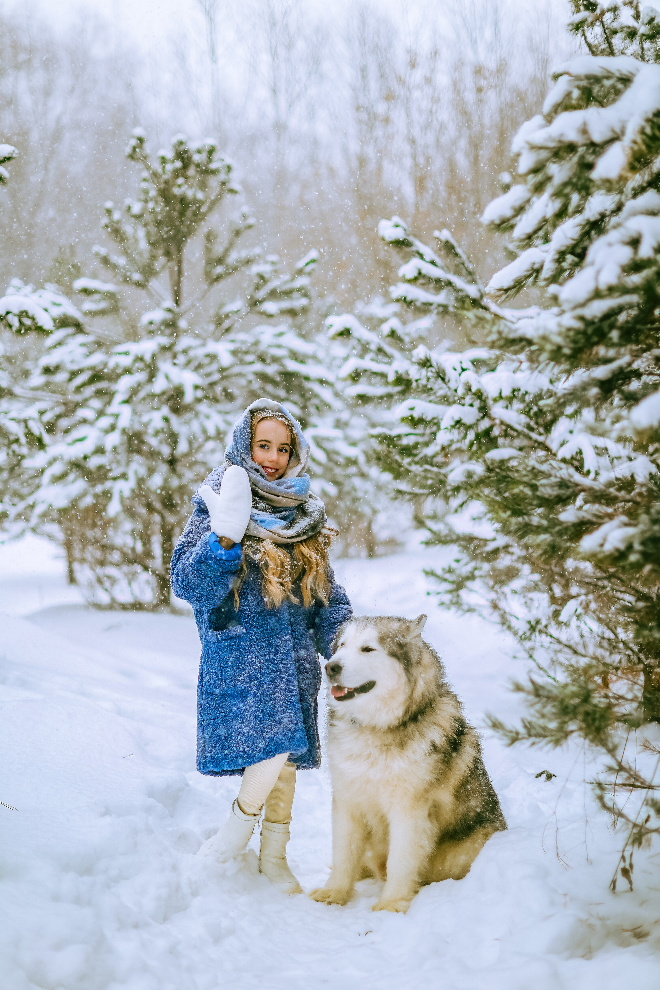 София и аляскинский маламут. Фото и видео Москва, Московский. Свадебный фотограф, видеограф, фотосессии, видеосъемка