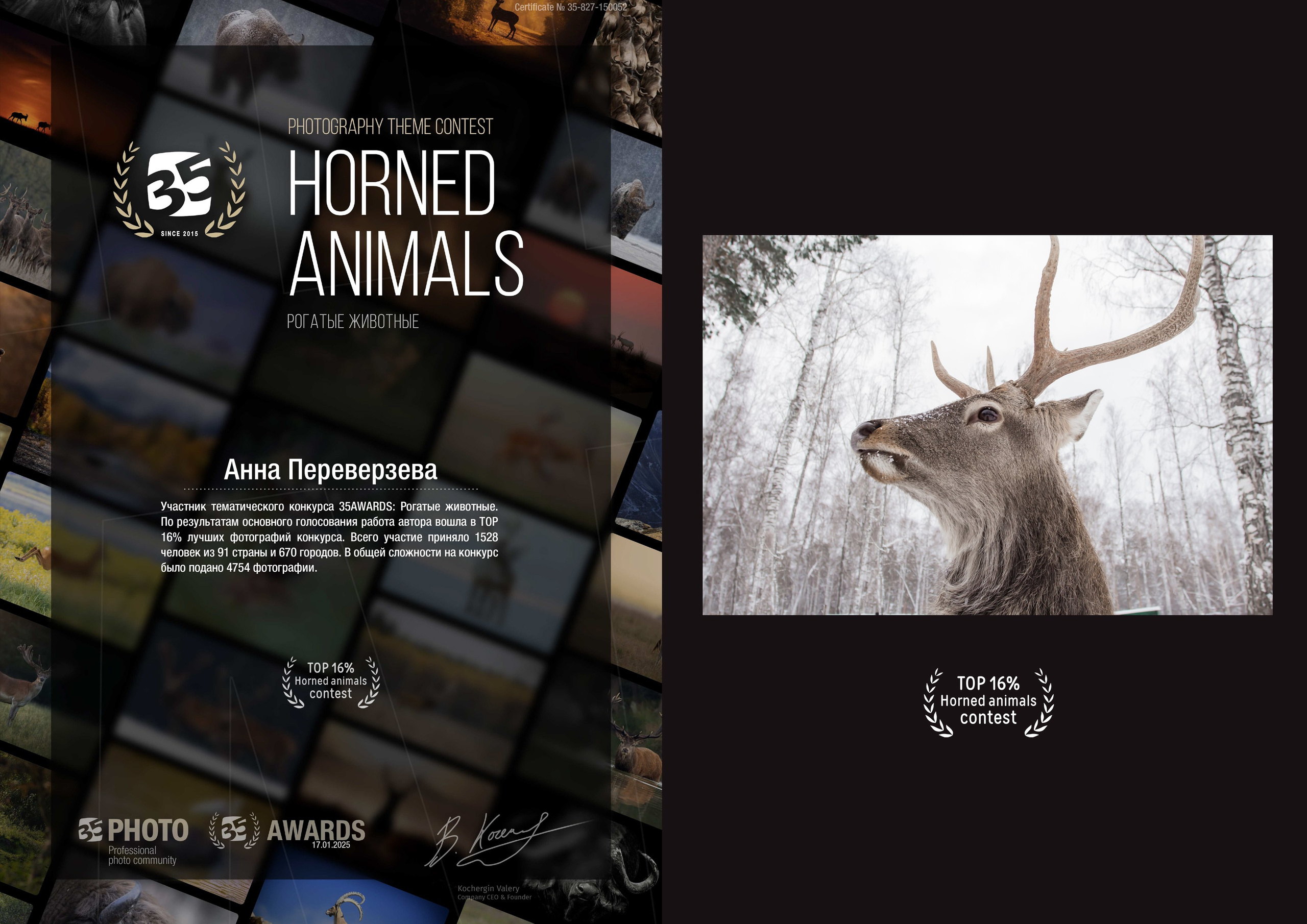 Дипломы в фотоконкурсах. Фотограф в Екатеринбурге Переверзева Анна