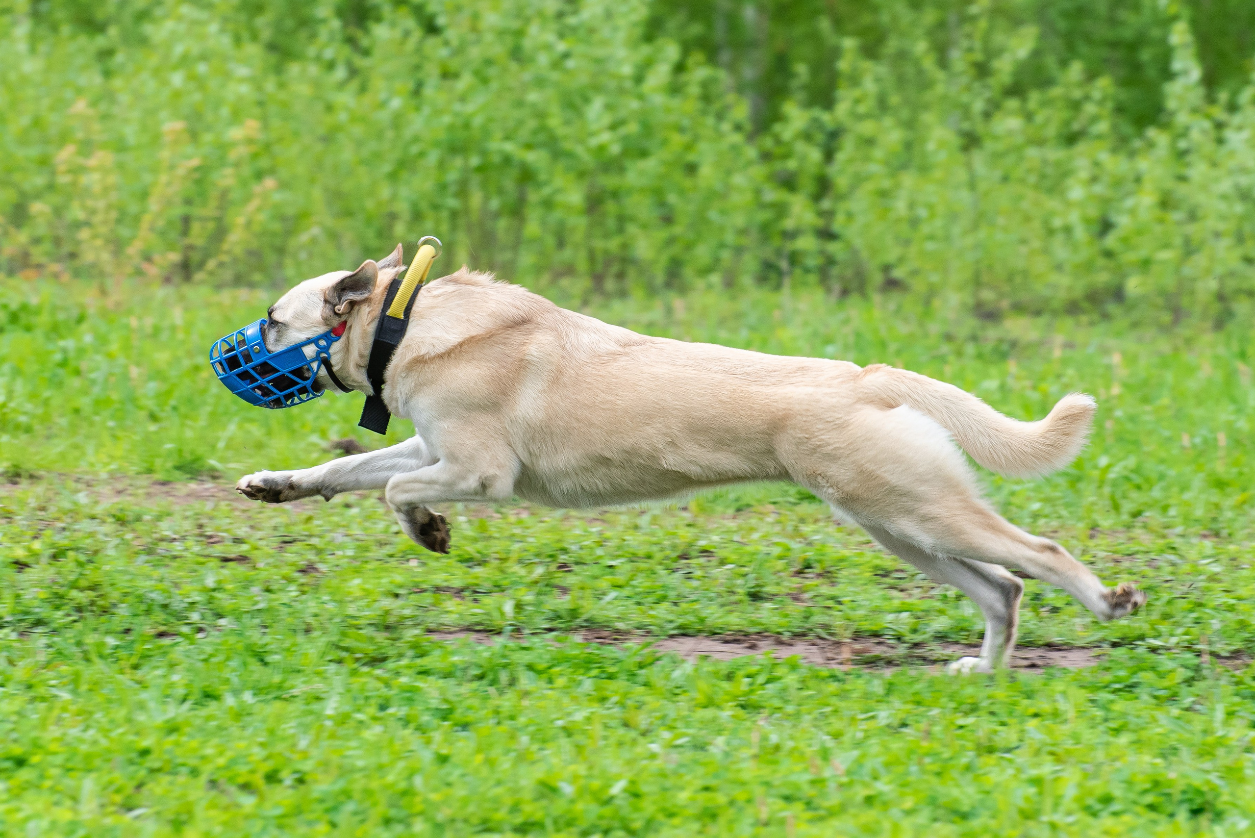 Фотографии с Курсинга. Фотограф Макс Огурцов в Нижнем Новгороде