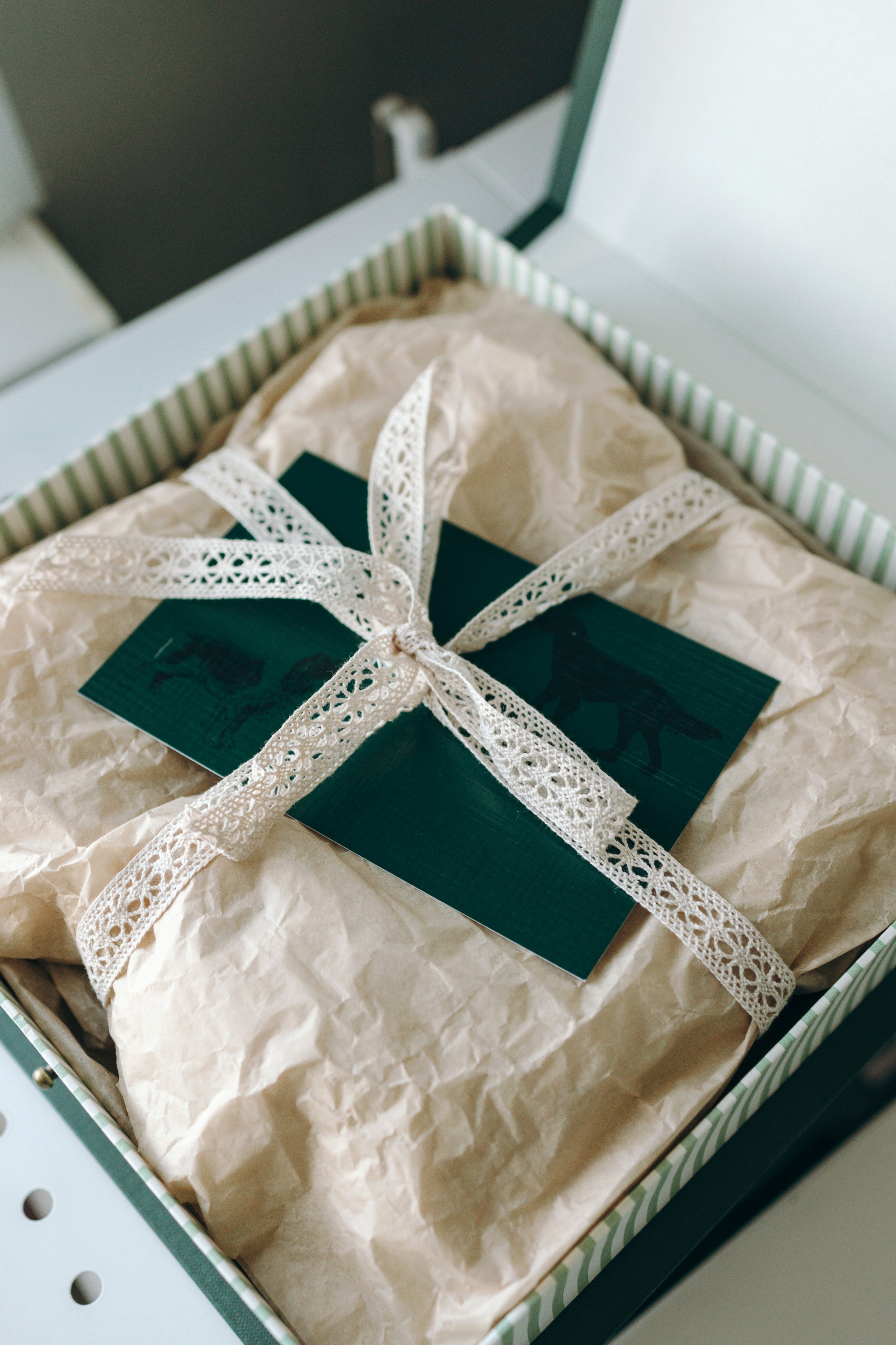 Портфолио. Портретная вышивка питомцев