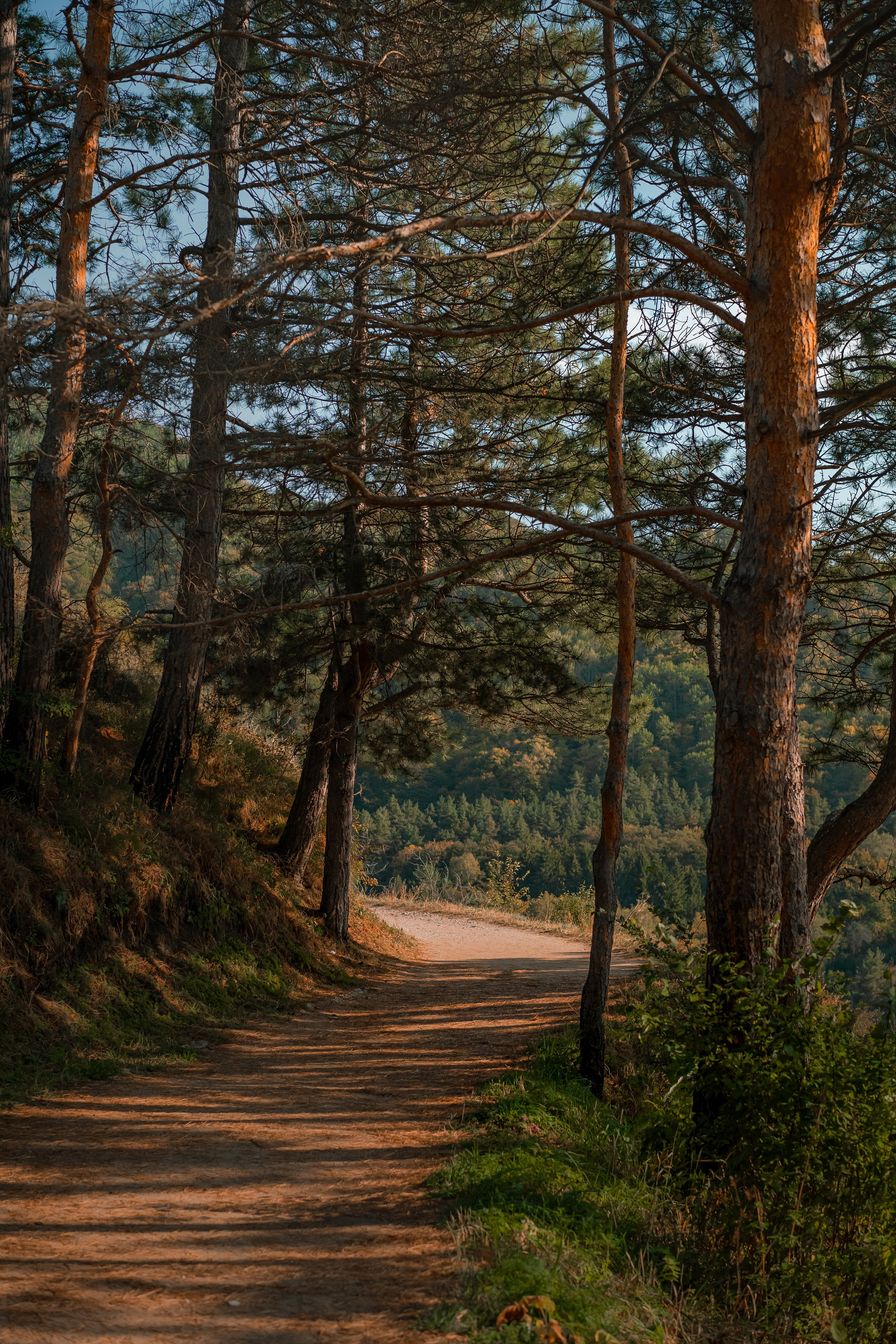 Кисловодск, терренкуры национального парка. Юля Дэй • Фотограф, Санкт-Петербург