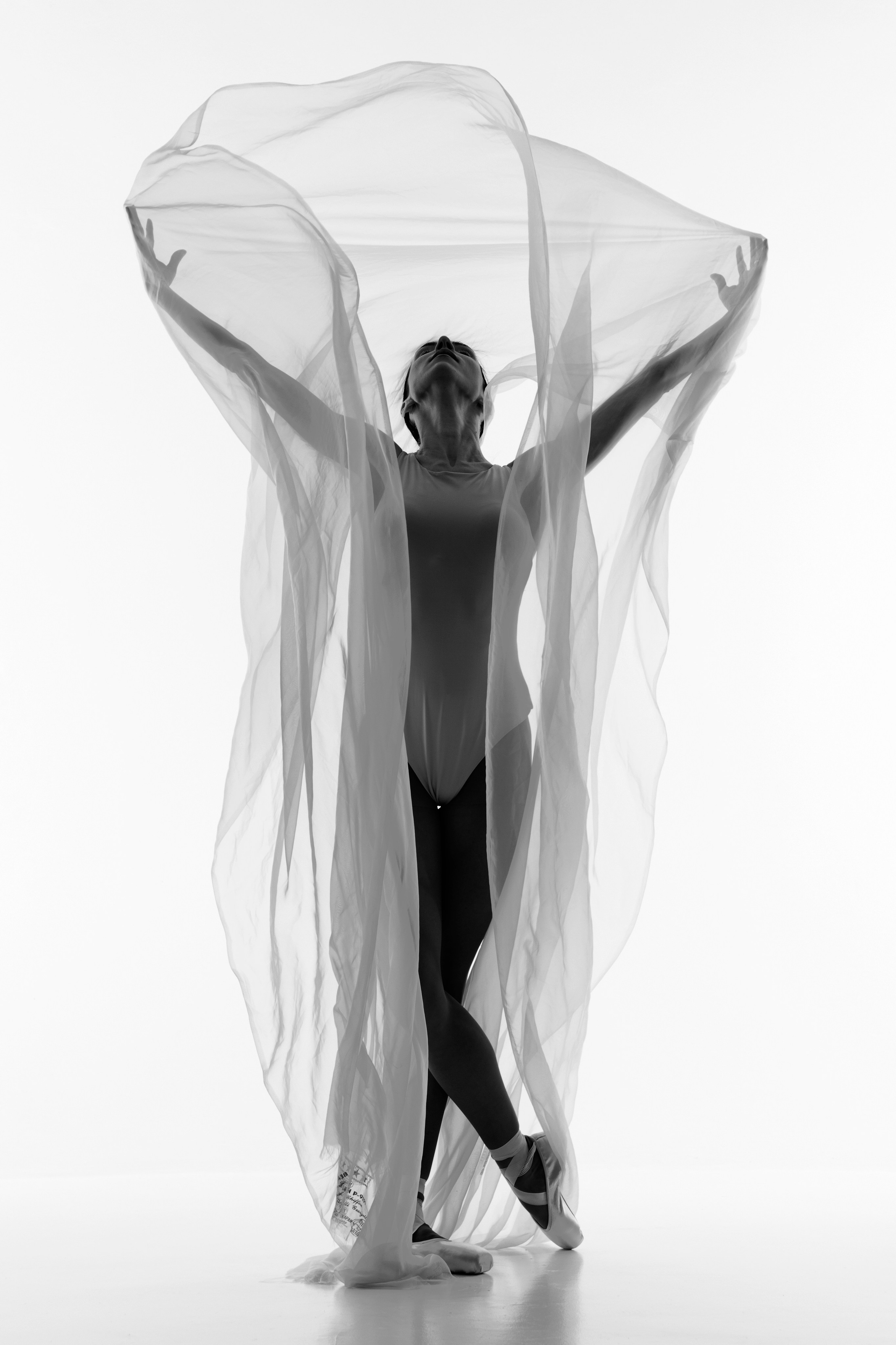 Искусство линии и света