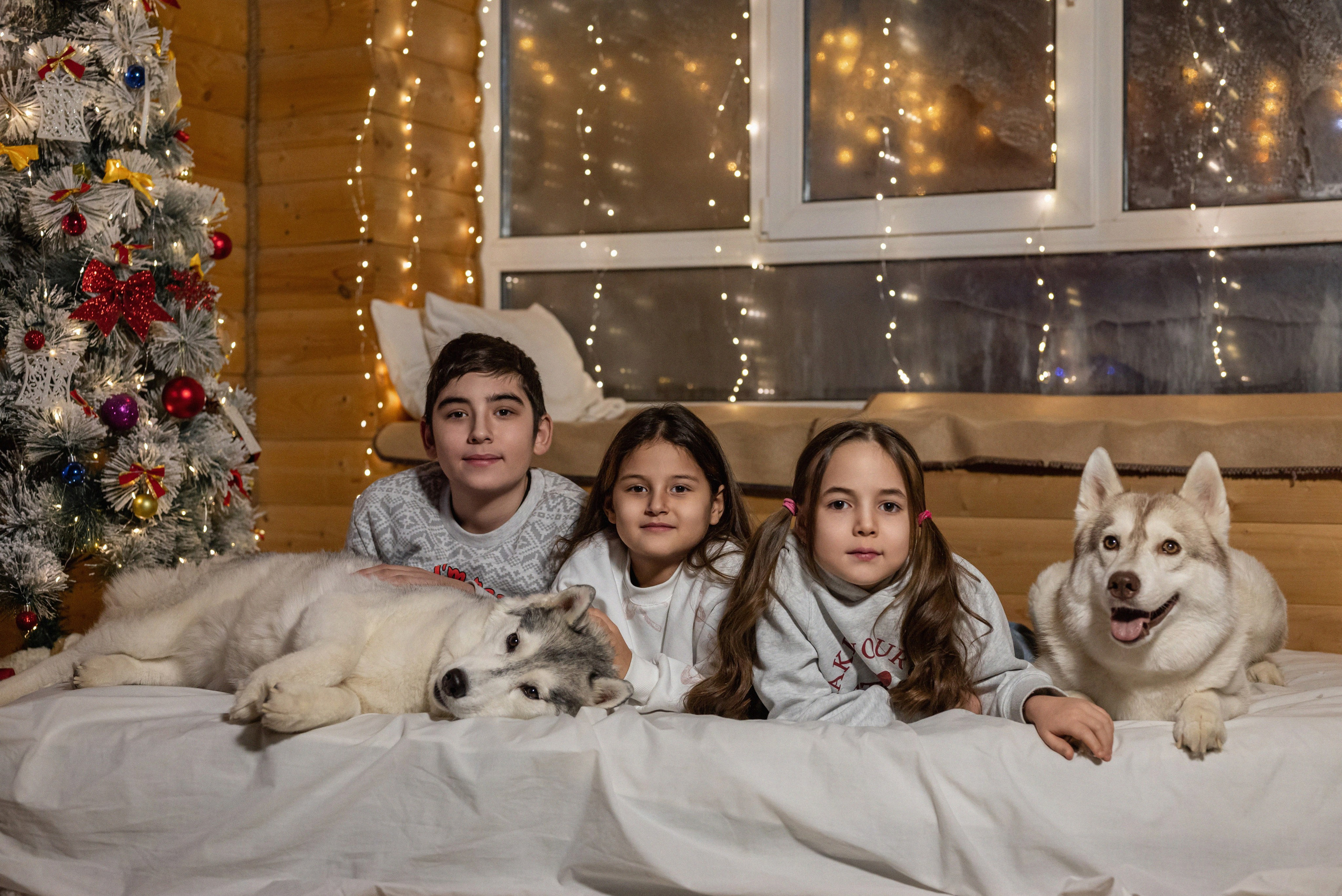 Фотопроект с хаски 2025 г. Фотограф в городе Салават