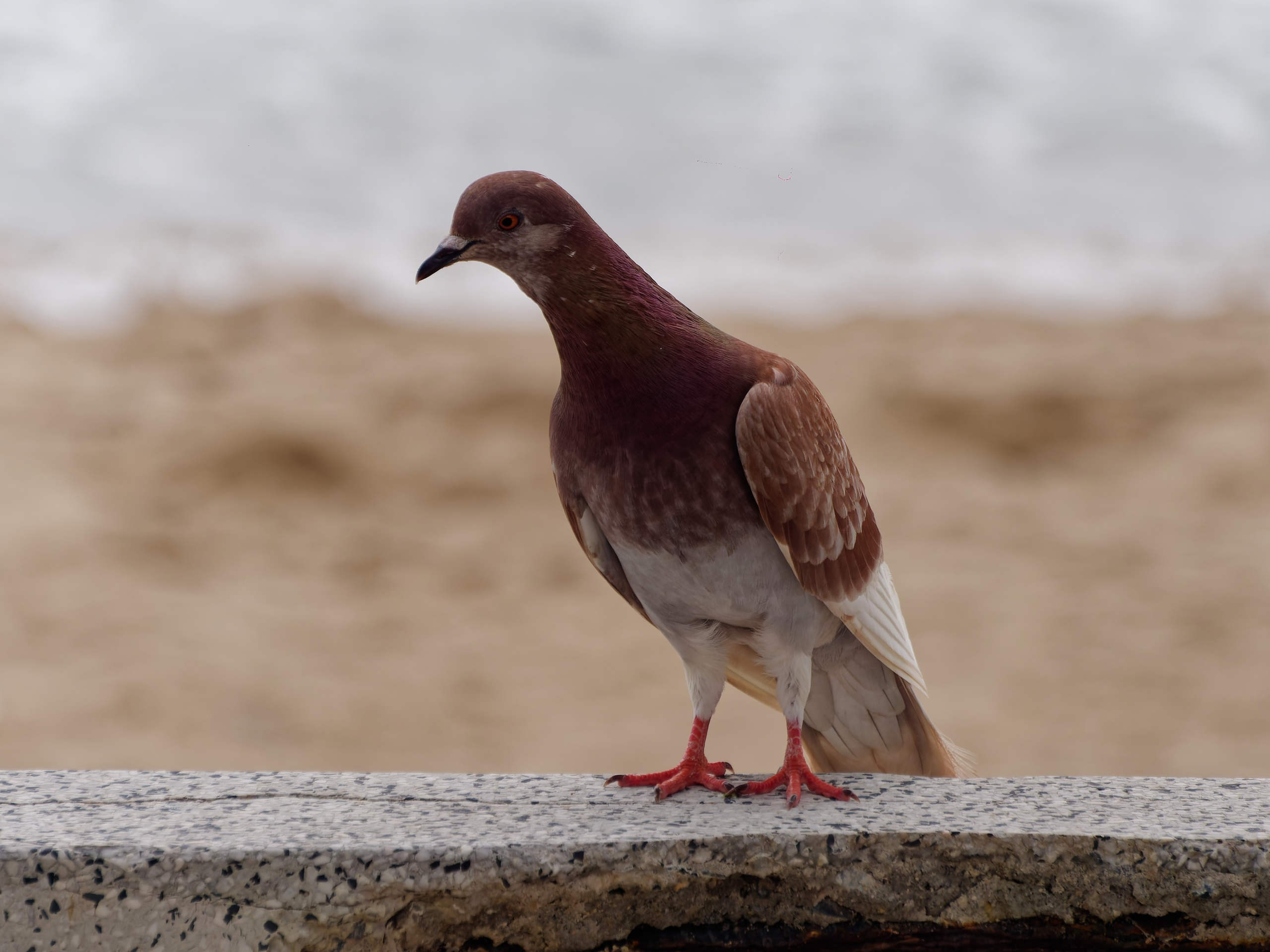 Нячанг 2025 (7). Избранные фотографии