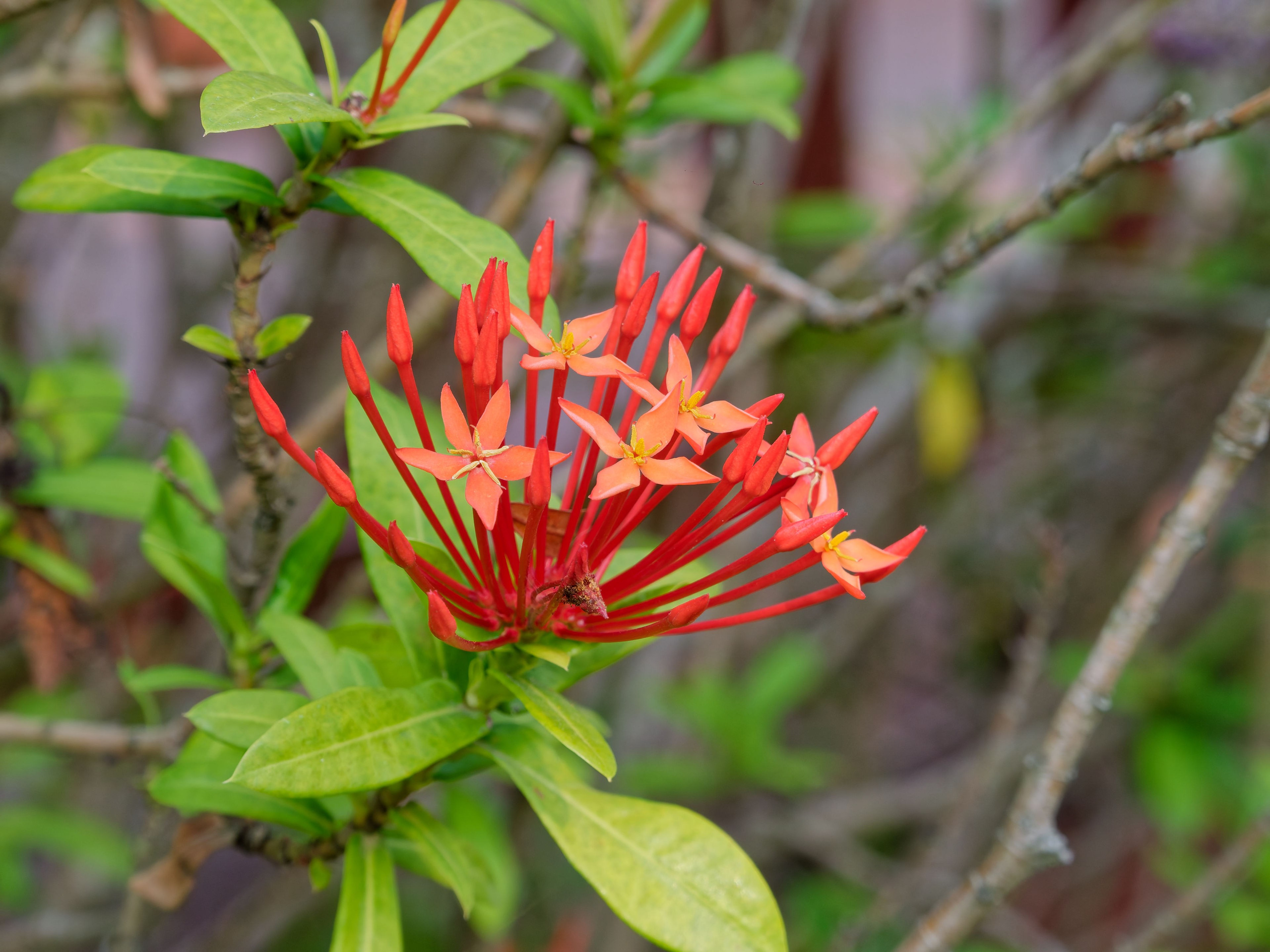 Хайнань 2026, первые впечатления. Фотопрогулки по Миру