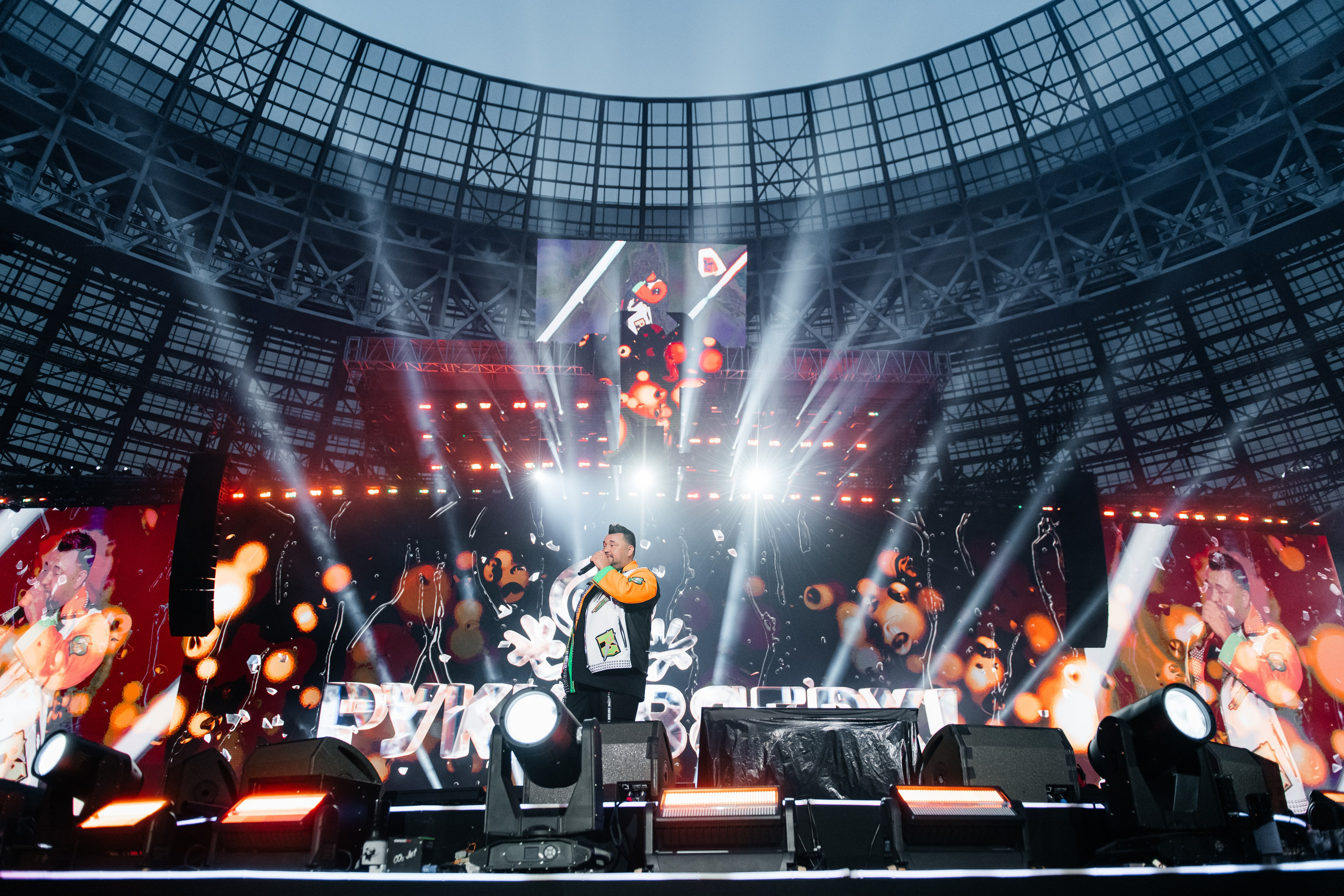 Руки ВВерх!. ДИНА МИХНЕВА спортивный фотограф Москва