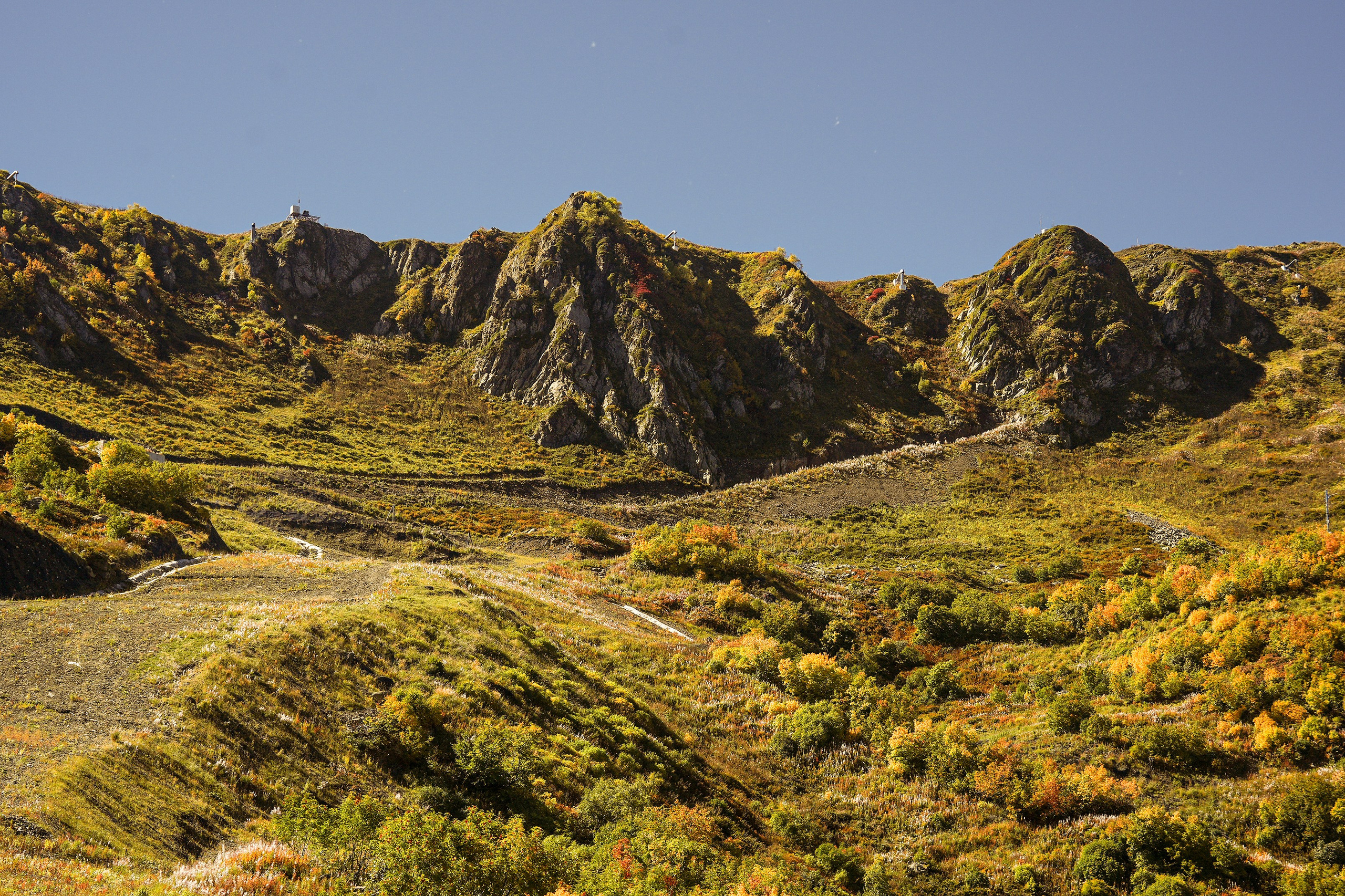 Ыаывы. Репортажный фотограф в Красной Поляне и Сочи Павлюченко Екатерина