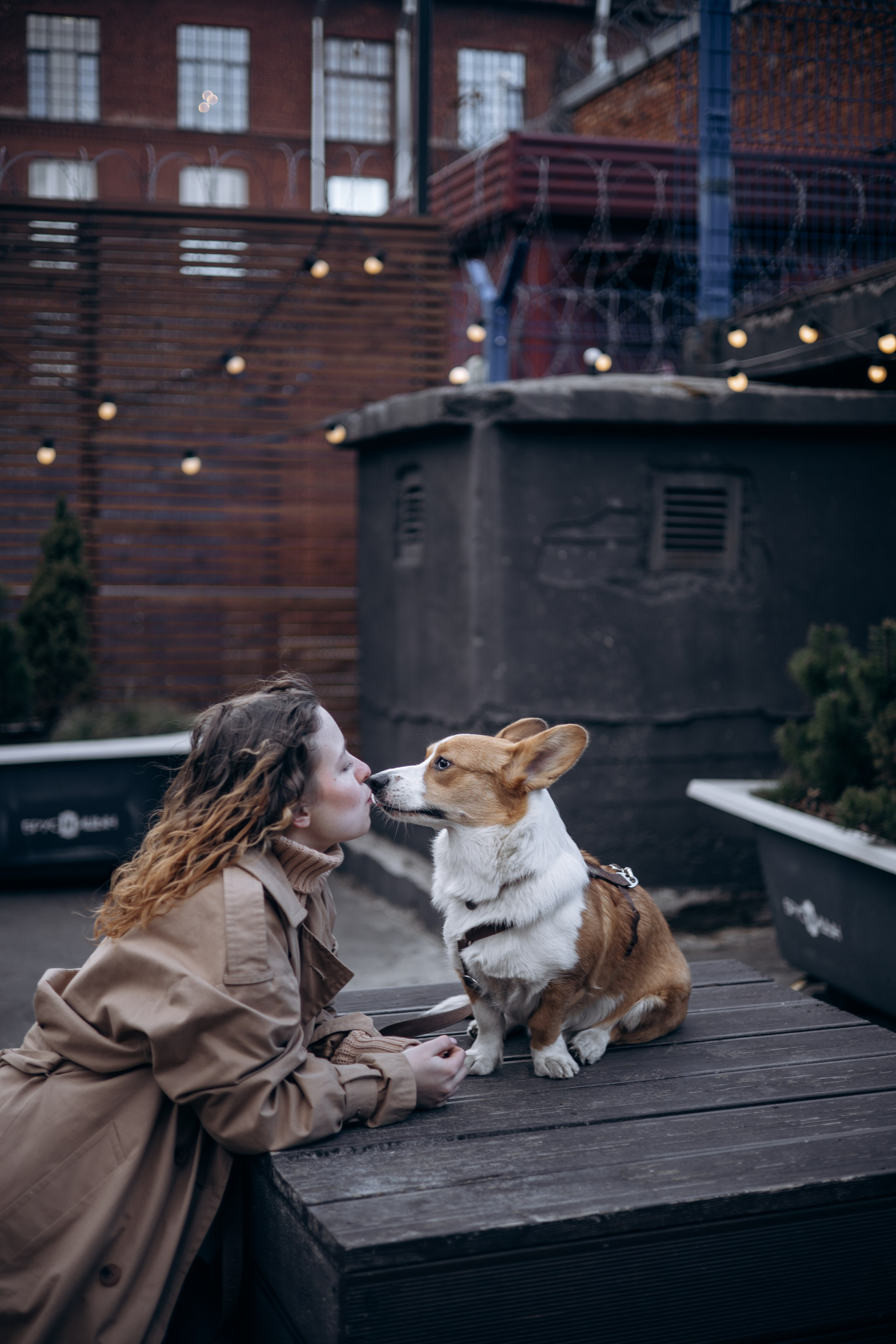 Александра и Мика. Фотограф животных Евгения Верцинская