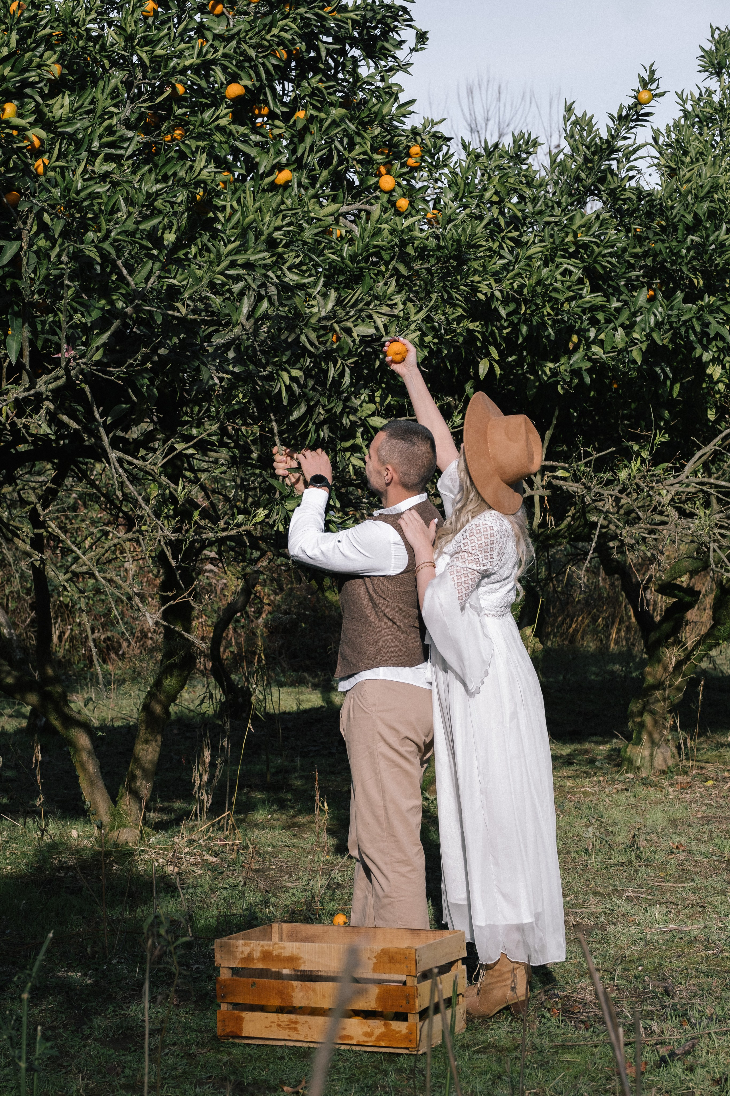 Свадьба в мандариновом саду. Свадьба в Абхазии|Фотограф в Абхазии