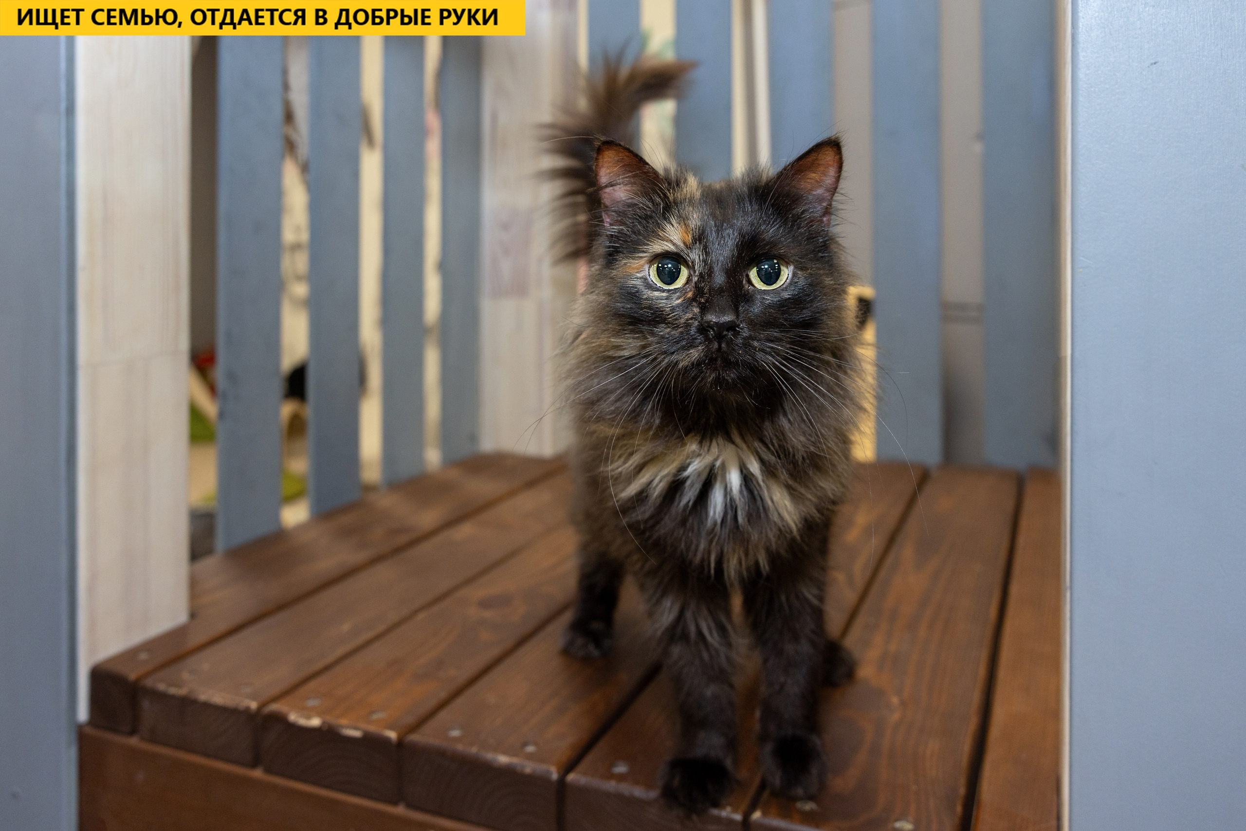 Рекламная съемка в Москве. Геннадий Степанов —фотограф в Москве