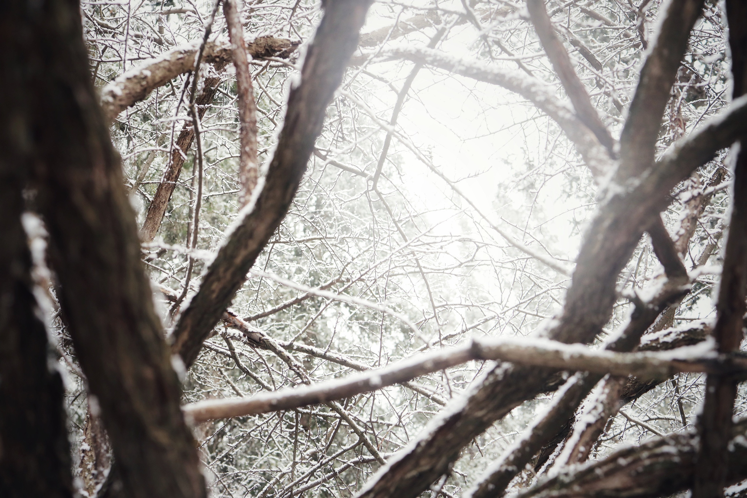 Around Issyk-Kul / Spring, Summer, Fall, Winter… and Spring. POLINA MÔMOT