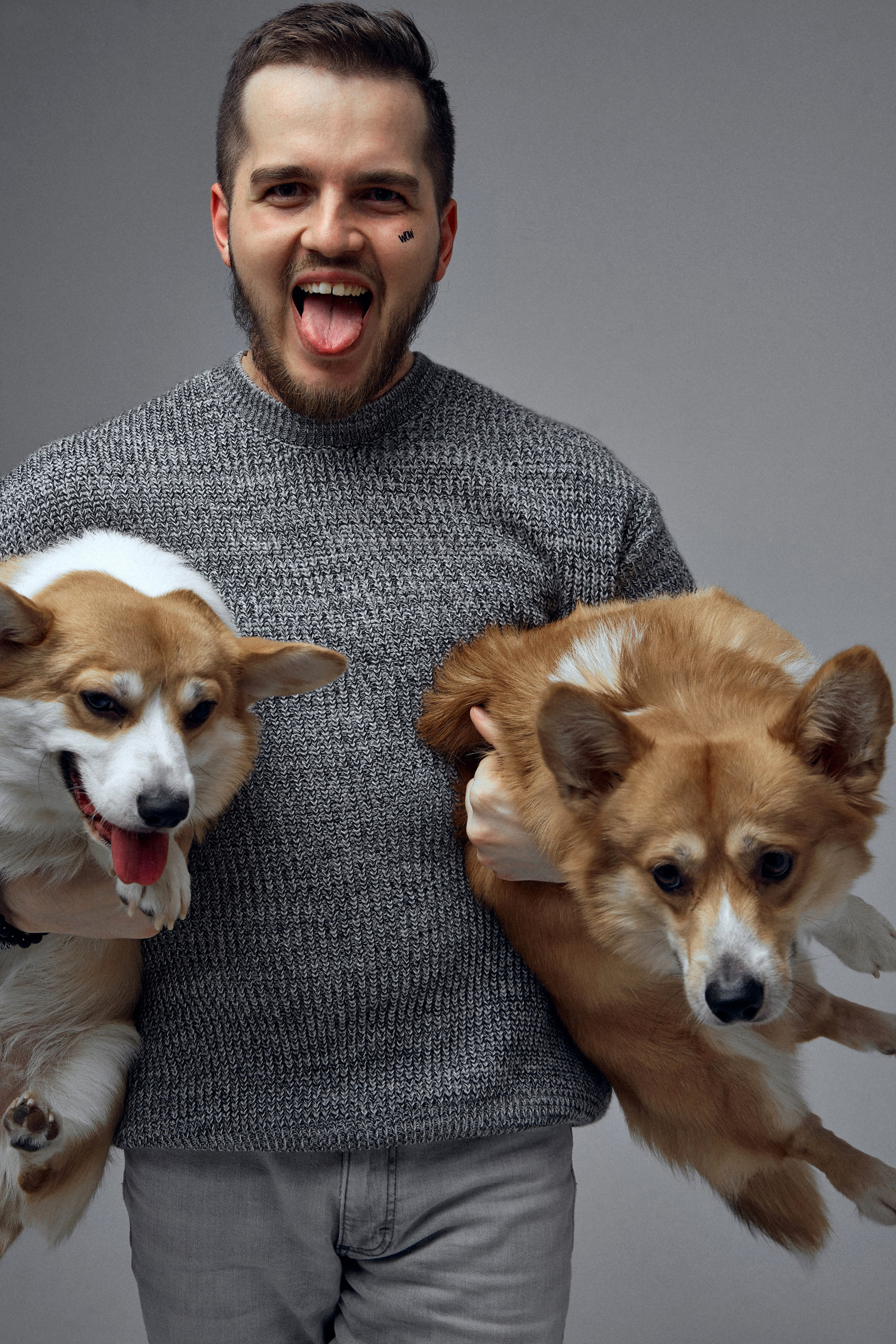 КОРГИ. Фотограф Санкт-Петербург