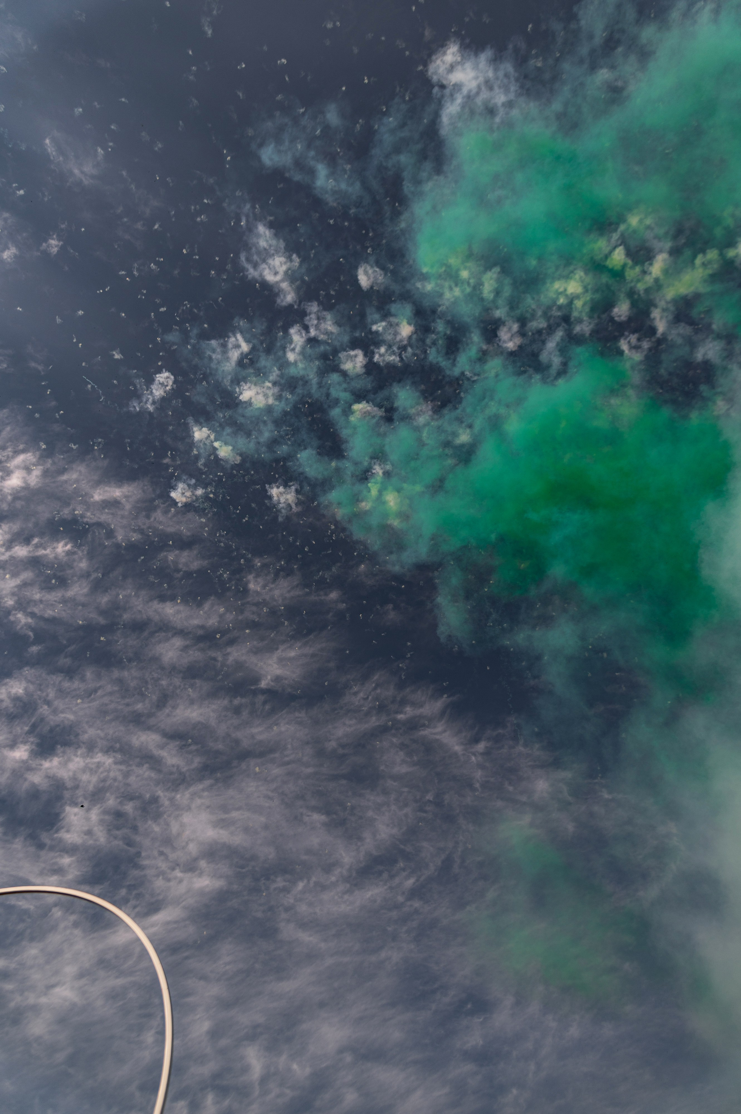 Просто такая сильная любовь. ФОТОГРАФ КРАСНОДАР КРАСНОДАРСКИЙ КРАЙ