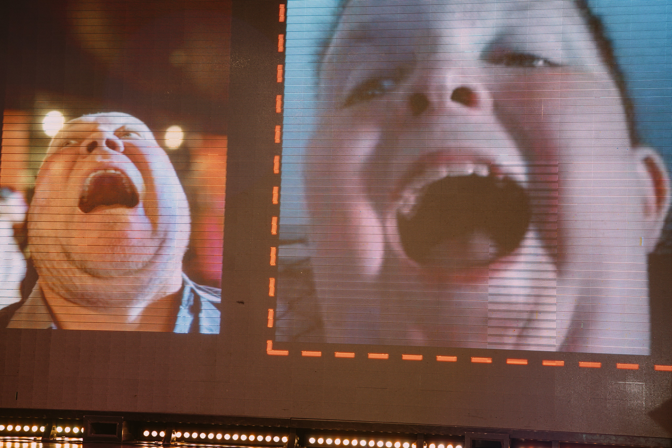 Юбилей. Свадебный, семейный фотограф в Иркутске Светлана Макаричева