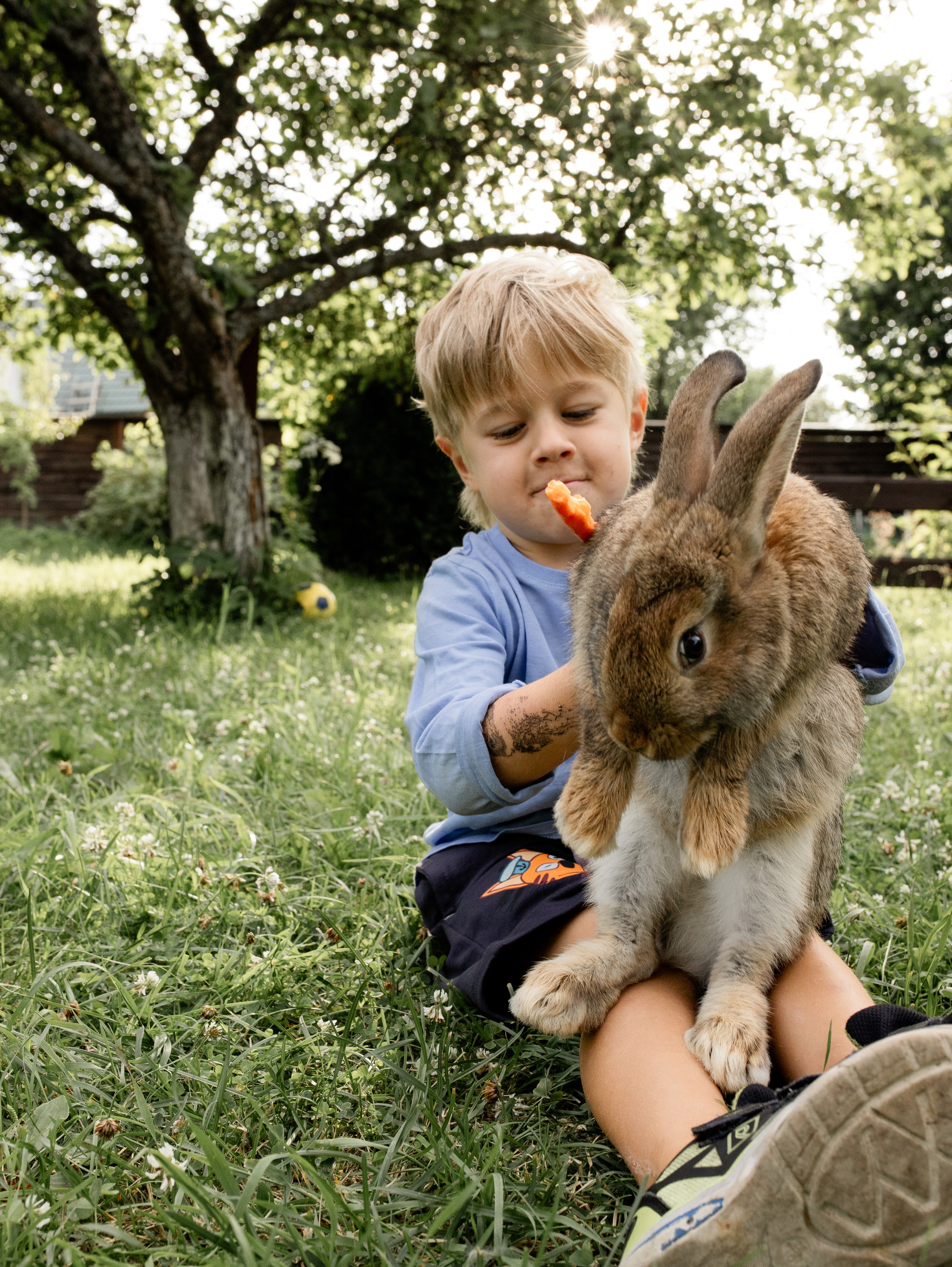 Кролики 2023. Семейный фотограф в Санкт-Петербурге Ирина Иванова