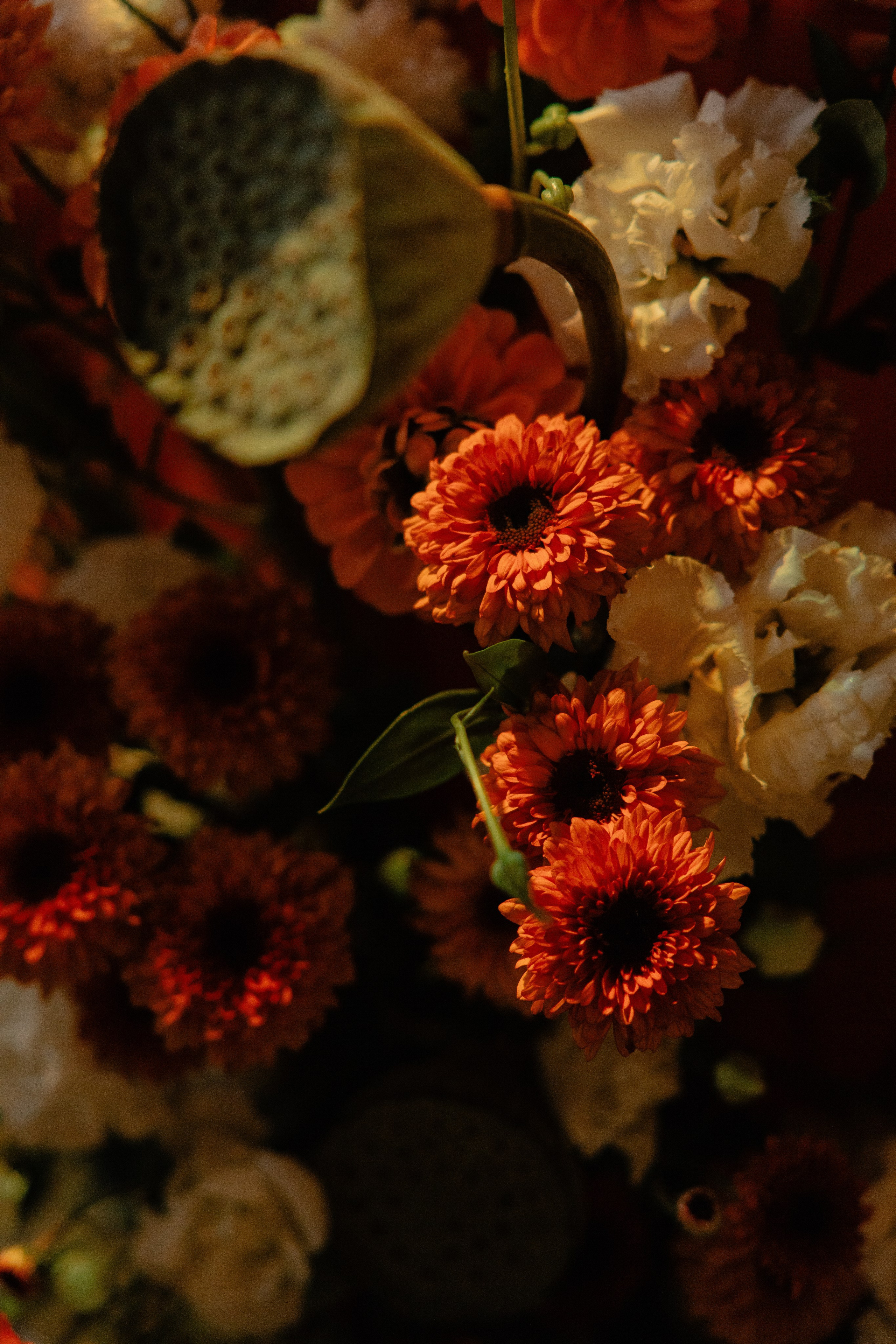 Свадебный фотограф Краснодар и Москва. Анна Еремчук