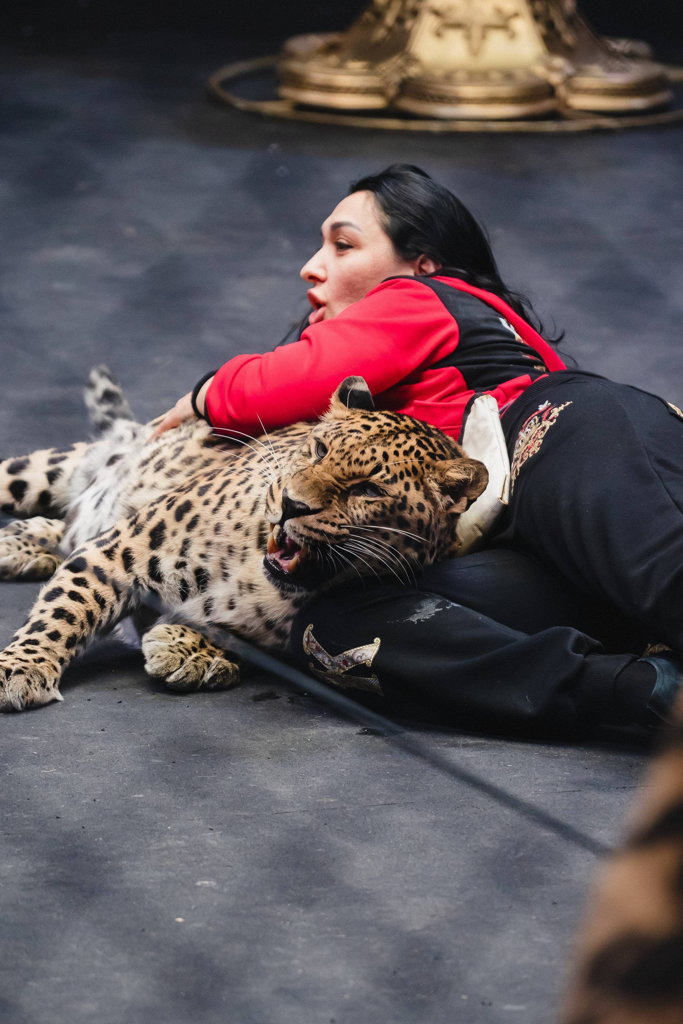 5 Континентов — Открытая репетиция. Воробьева Ксения — Спортивный и танцевальный фотограф Новосибирск