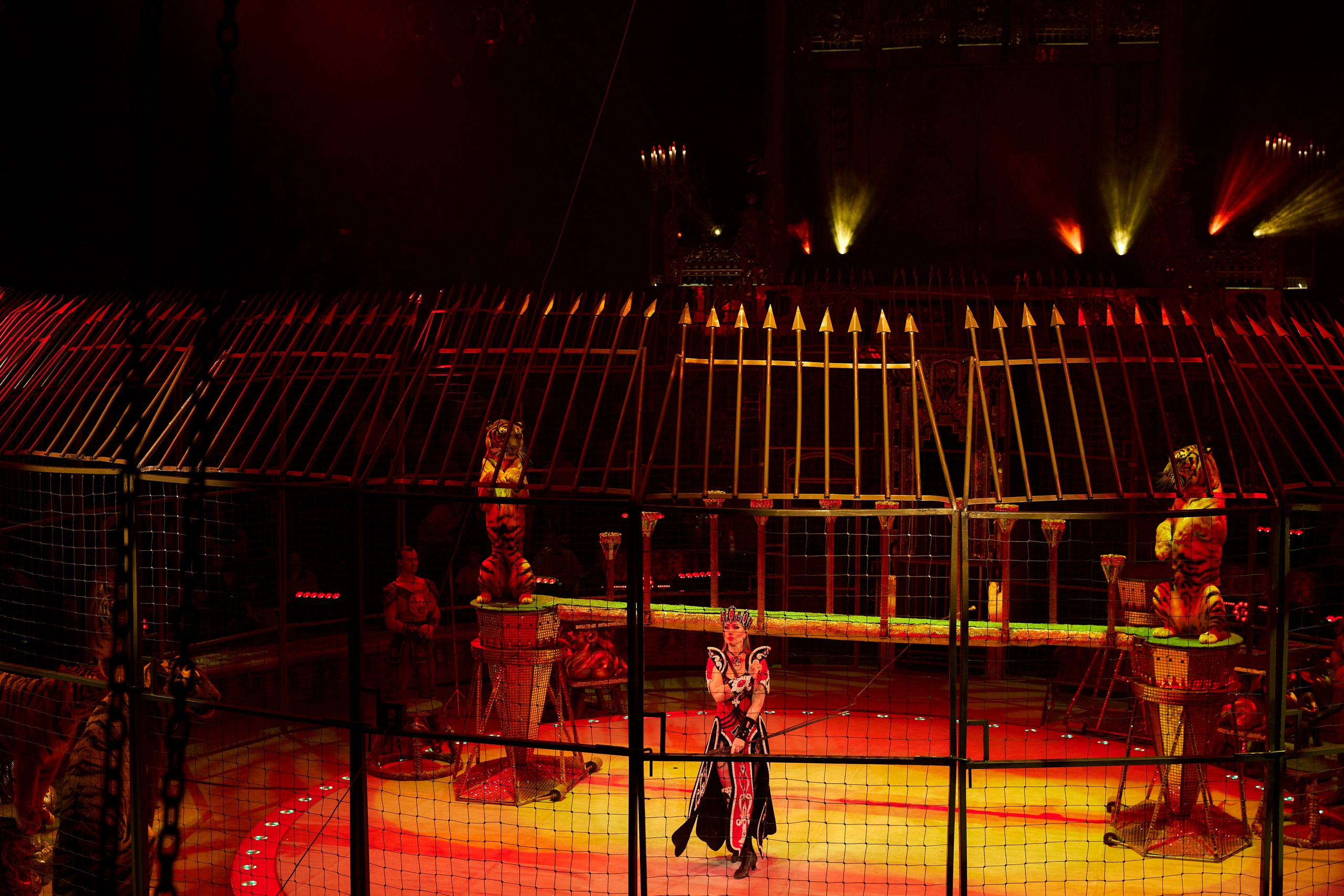 Королевский цирк Гии Эрадзе. Свадебный и семейный фотограф