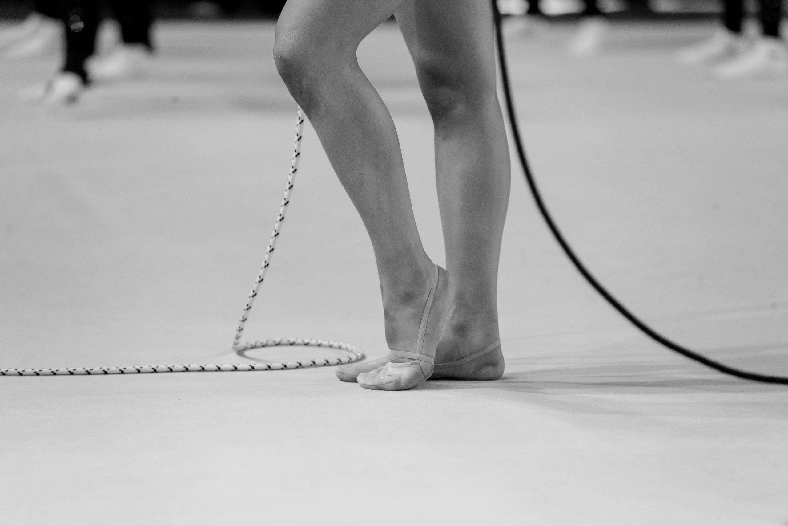 Кубок России по эстетической гимнастике 2025. Москва. Спортивный фотограф Александр Васильев. RG и AGG