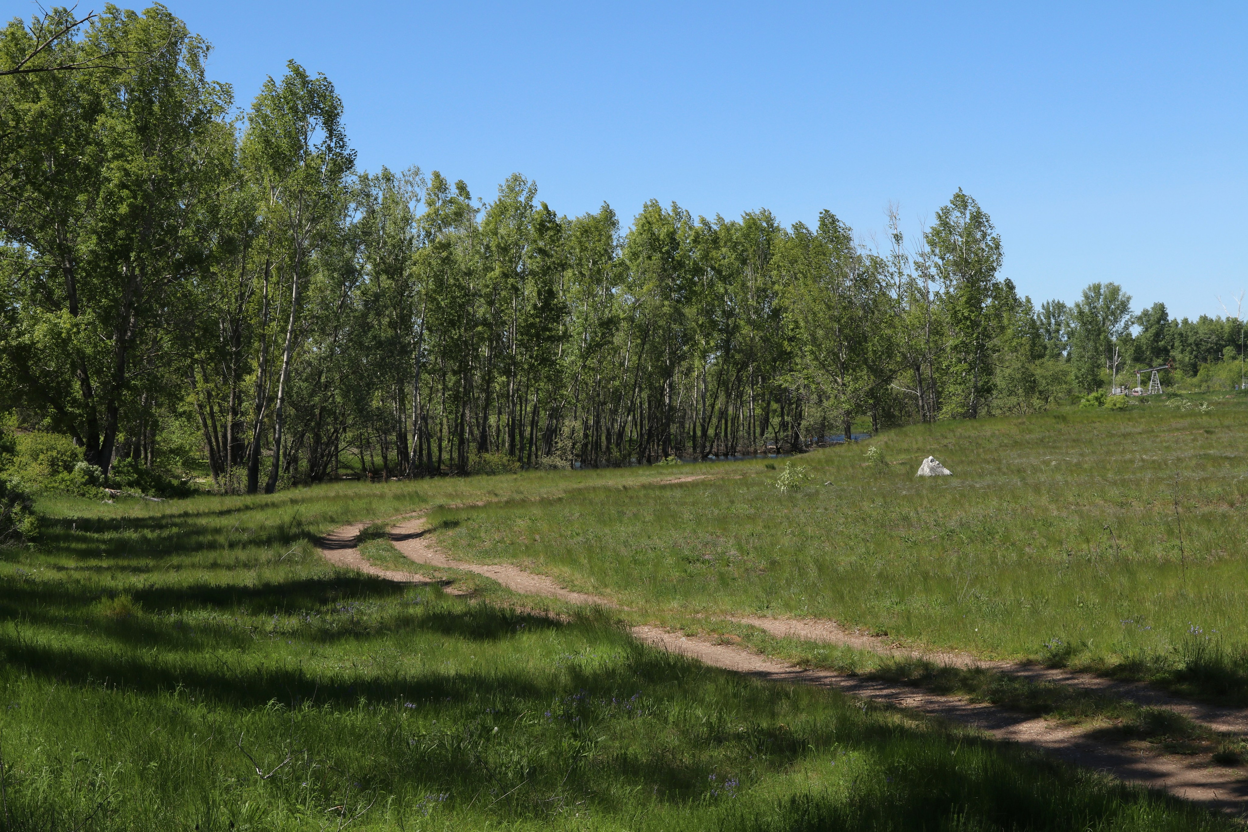 Велопоход Уфа — Мелеуз. Май 2024. Путешественник-фотограф из Санкт-Петербурга Татьяна Свистулина