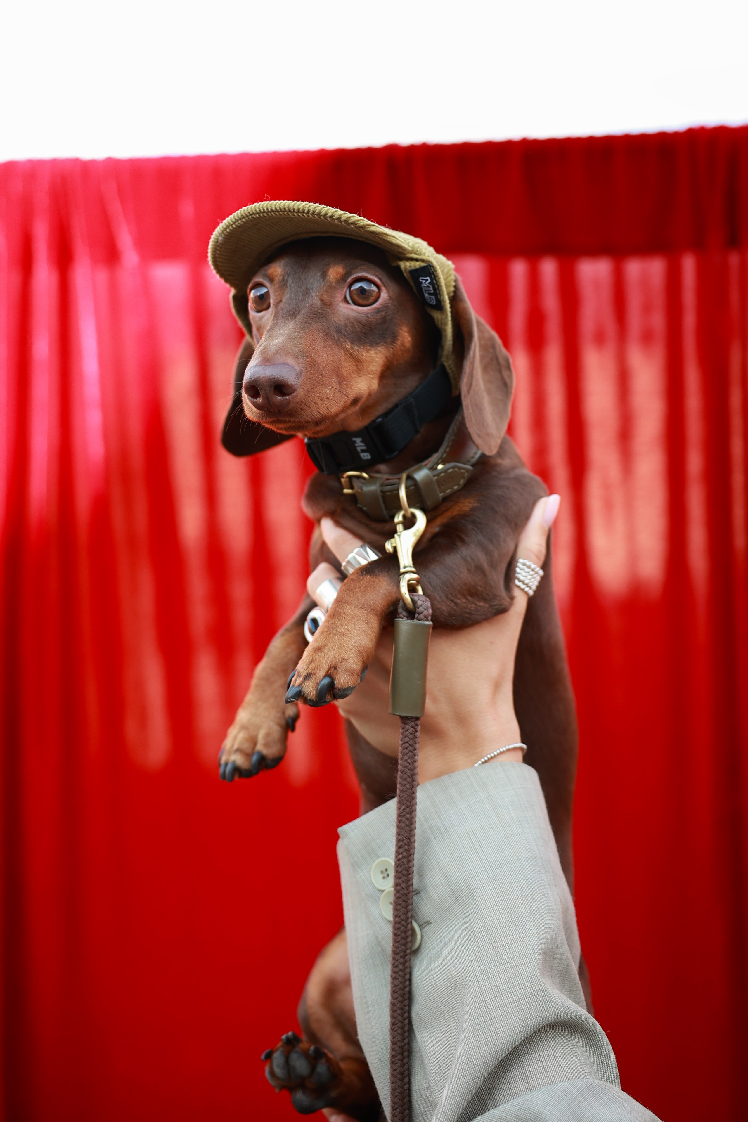 9–10 августа 2025 на Даниловском рынке / День 2 / фото Саша Жукова. Фотоотчеты «Ламбада-маркета»