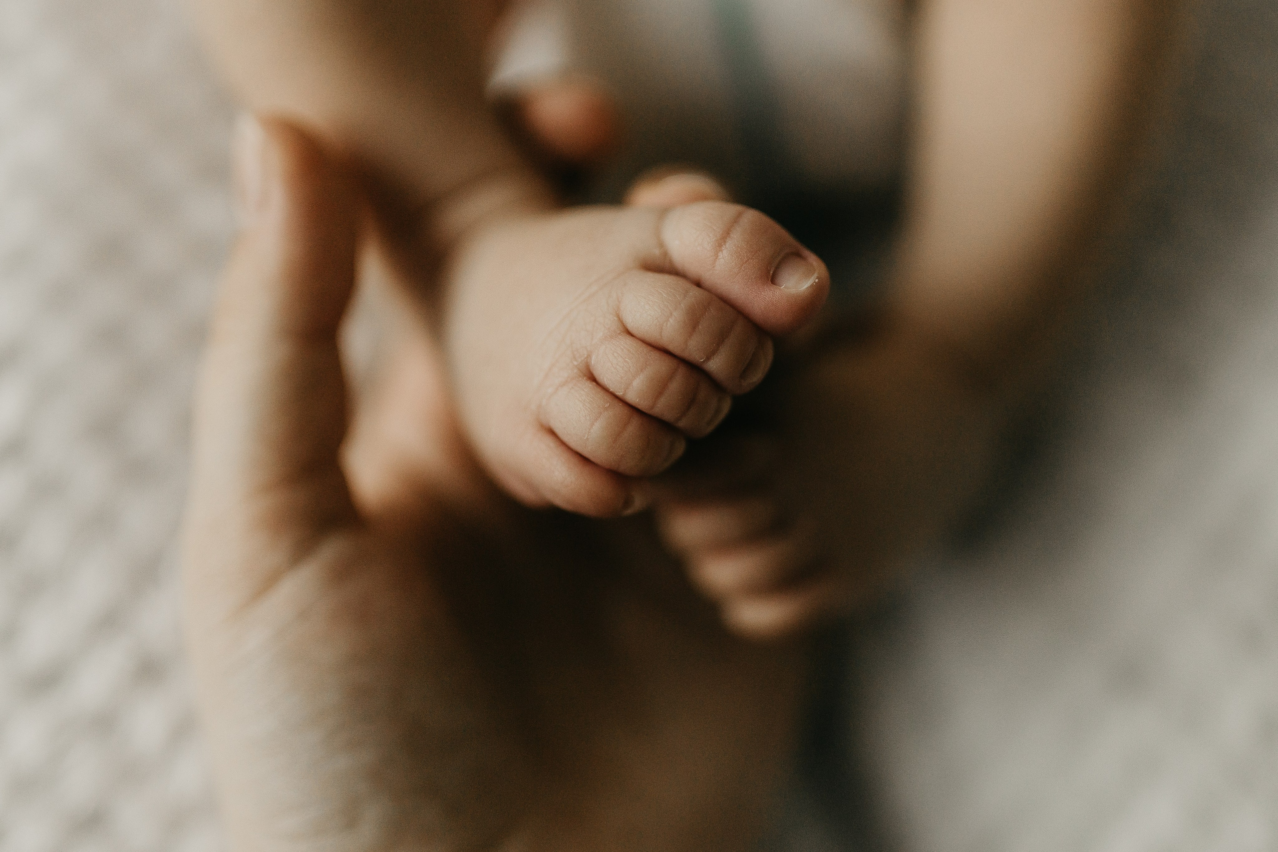 New born. Семейный и портретный фотограф в Санкт-Петербурге Владислава Бычкова