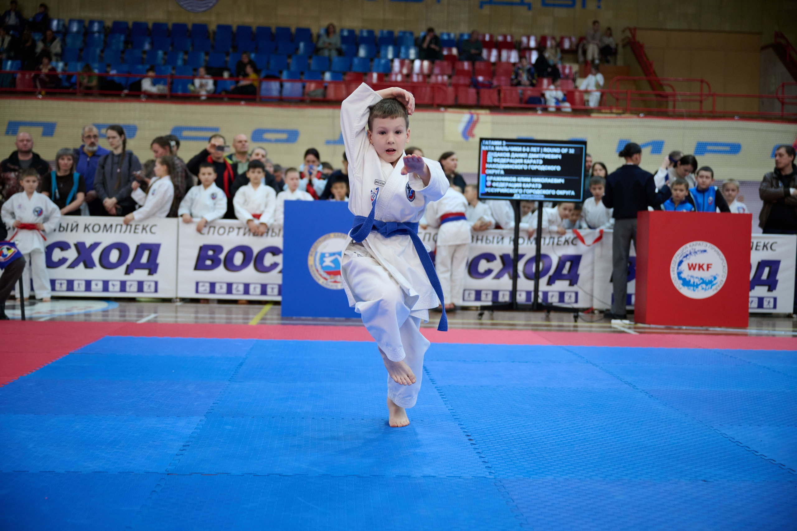 Чемпионат первенства Приморья по карате 28.03.26. Профессиональный репортажный фотограф Инесса Иминова