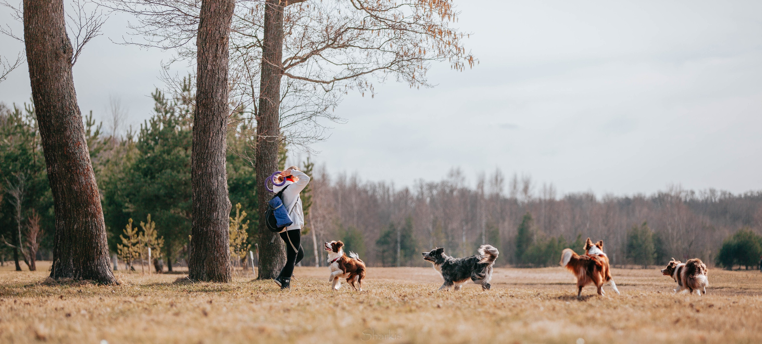 Бордюха, Лора, Берта, Мета. Главная