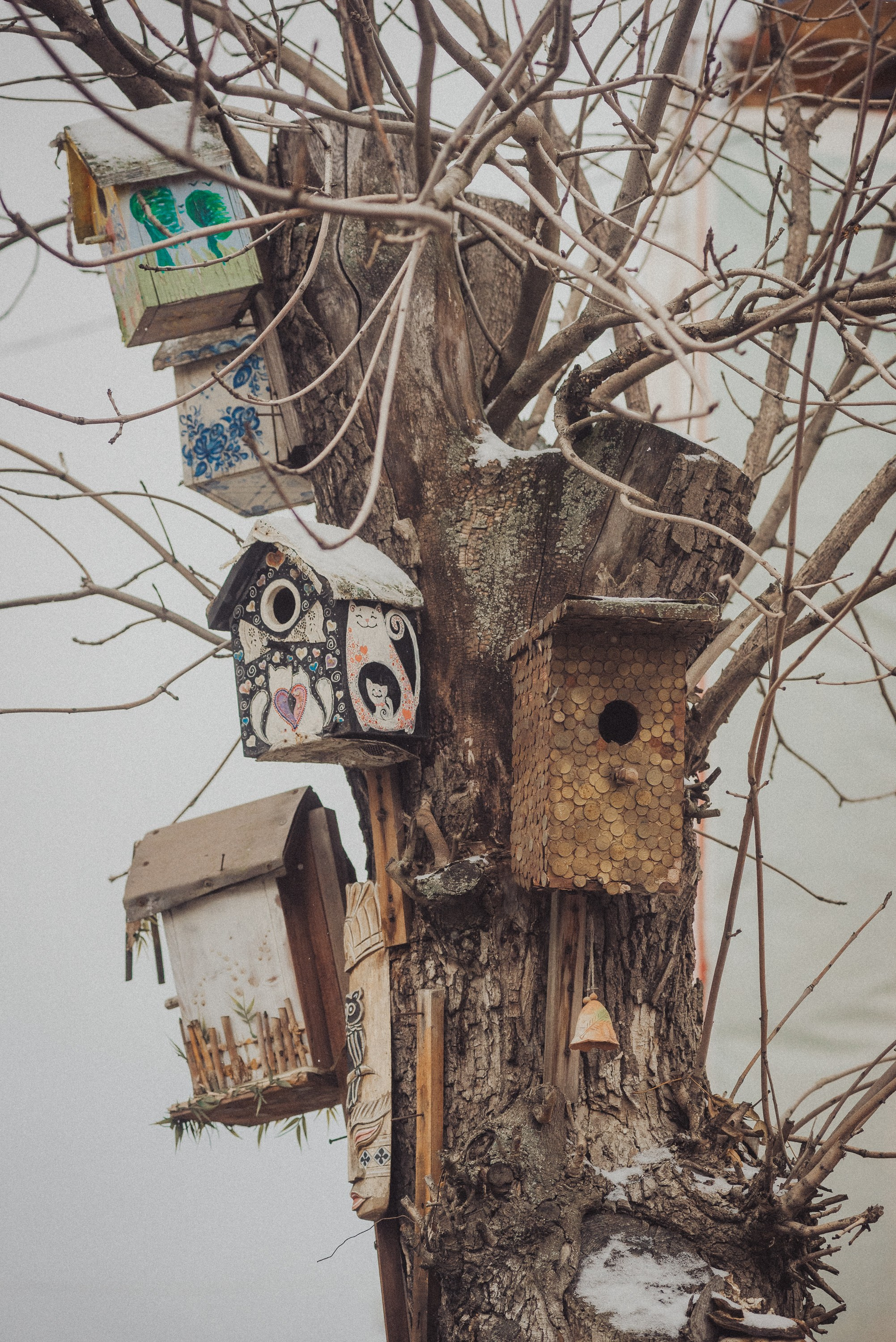 Проект #улицыгорода. Ярославль, площадь Челюскинцев. Документальный фотограф Илья Тихановский