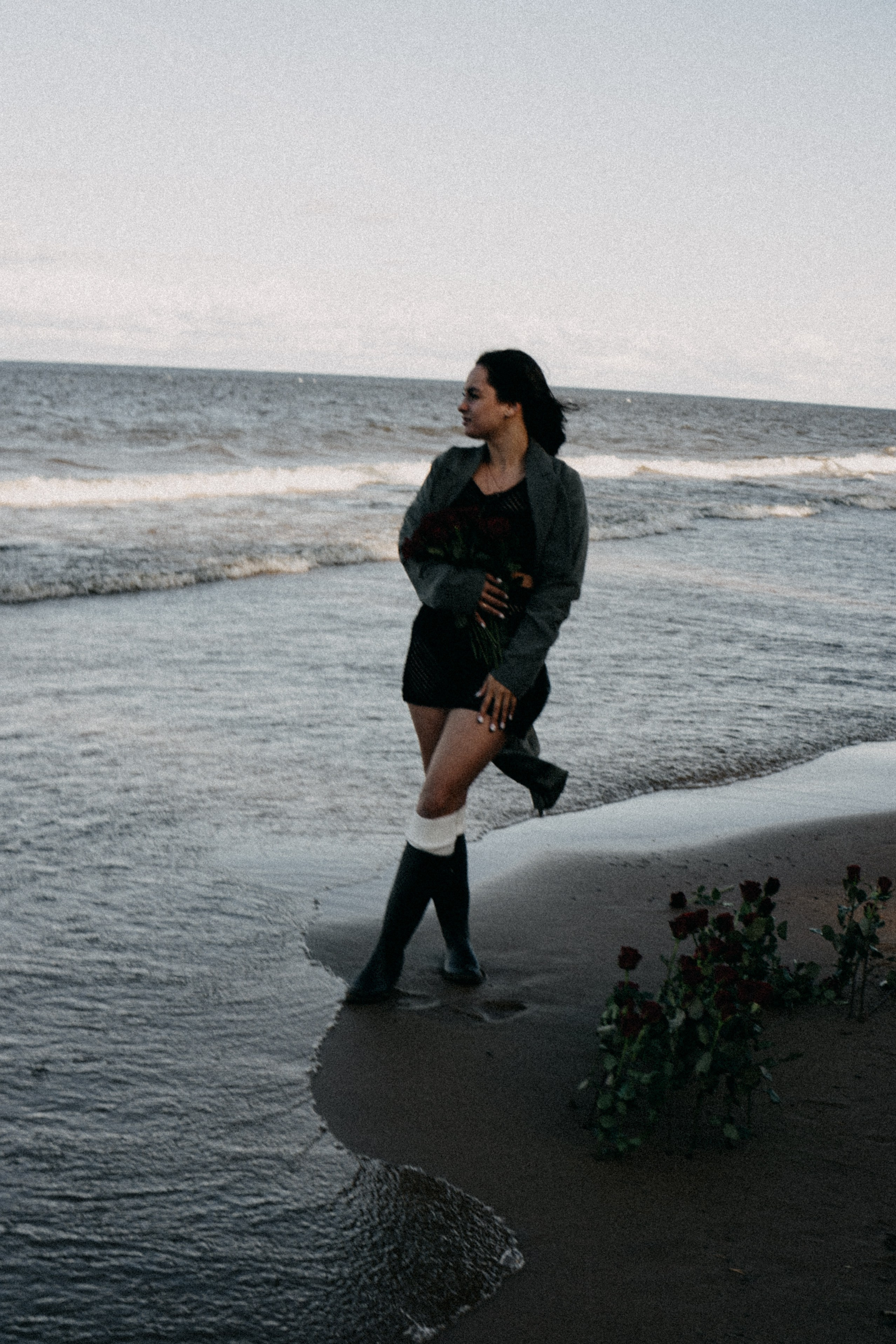 Розы. Профессиональный фотограф, Санкт-Петербург — Виктория Богомолова