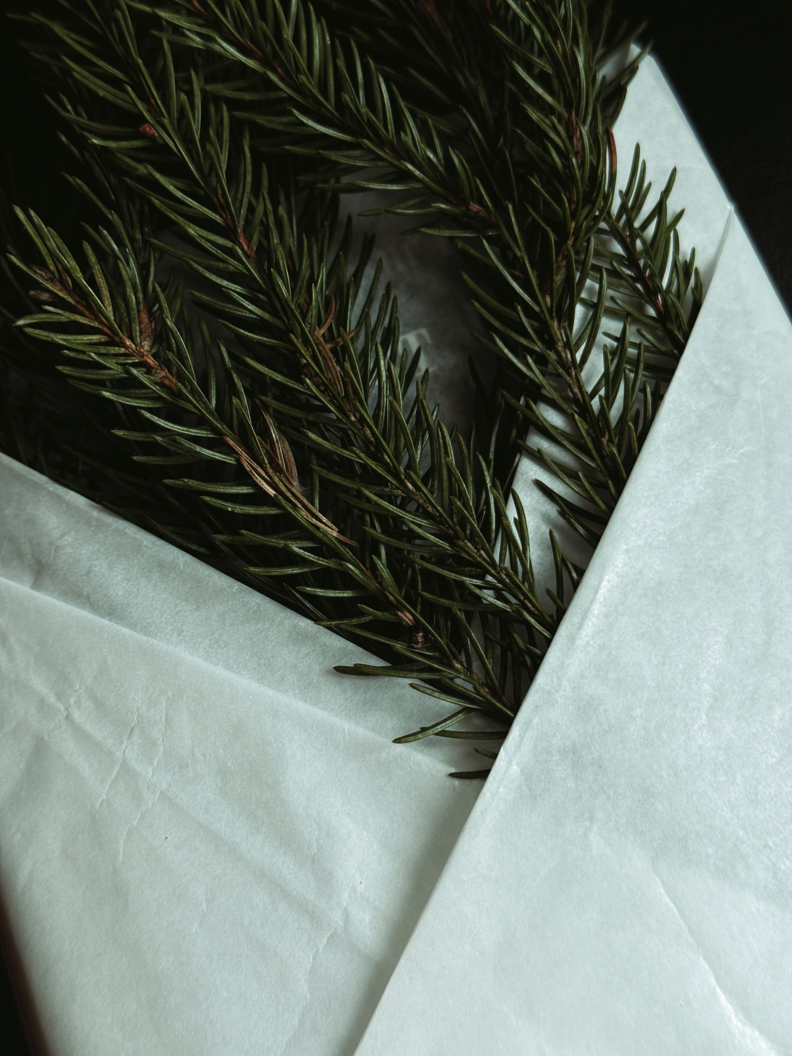 Упаковка Подарков. Фотограф Настя Лев