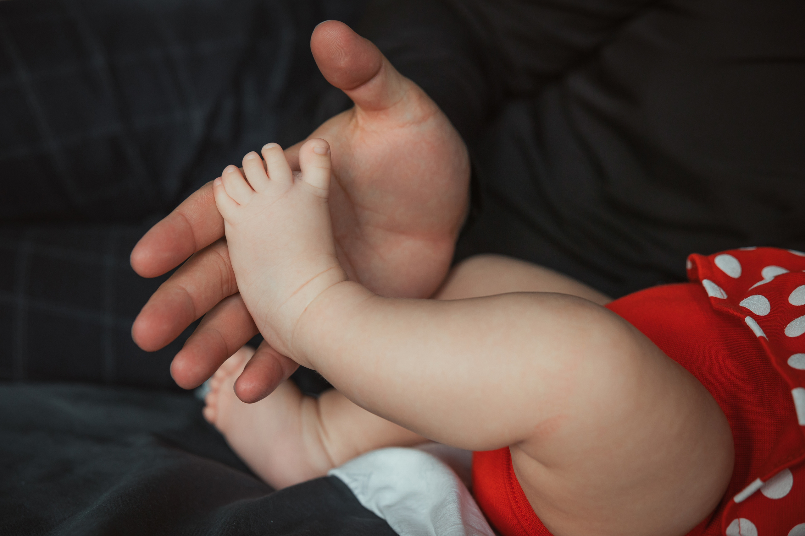 Семейная. Свадебный фотограф Красноярск — Кристина Ива