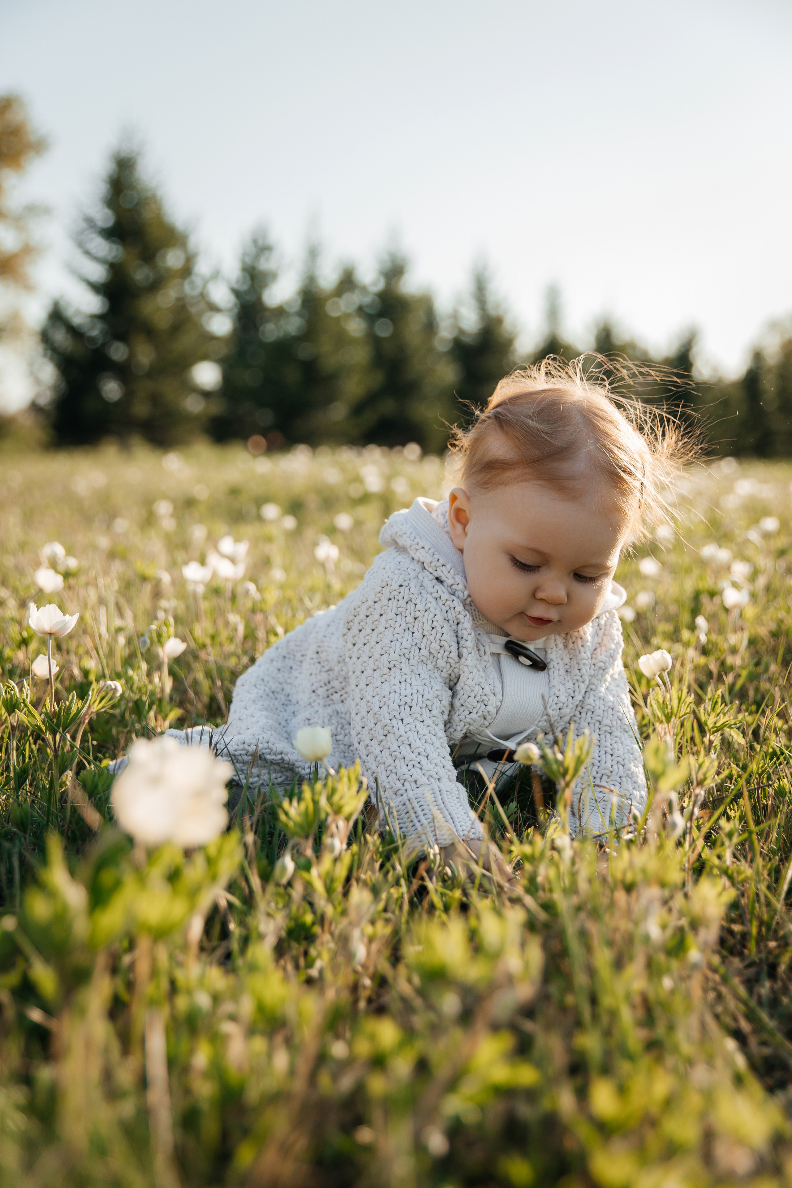 Семейная. Свадебный фотограф Красноярск — Кристина Ива
