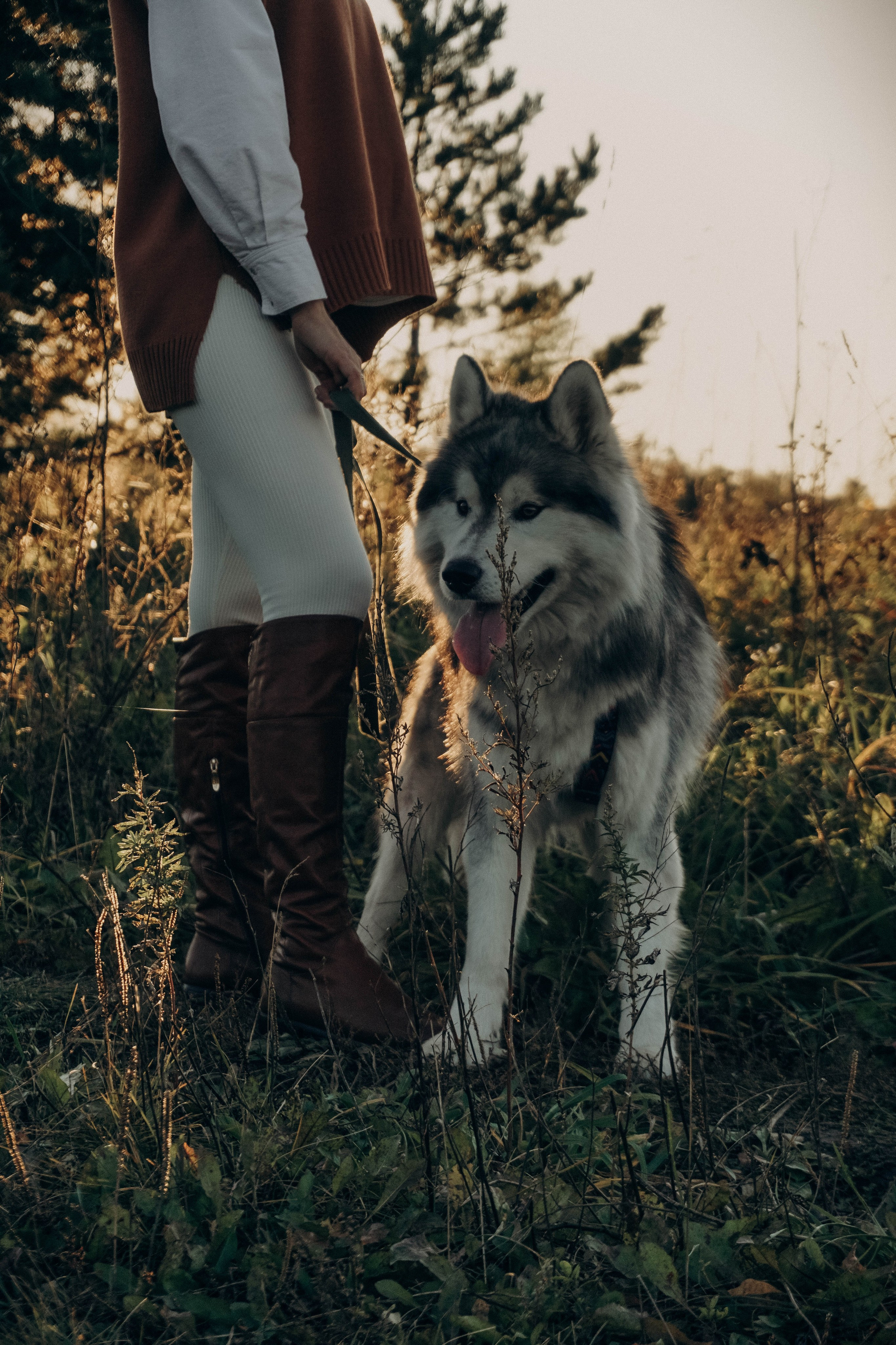Индивидуальные съемки. Фотограф Голенева Анастасия